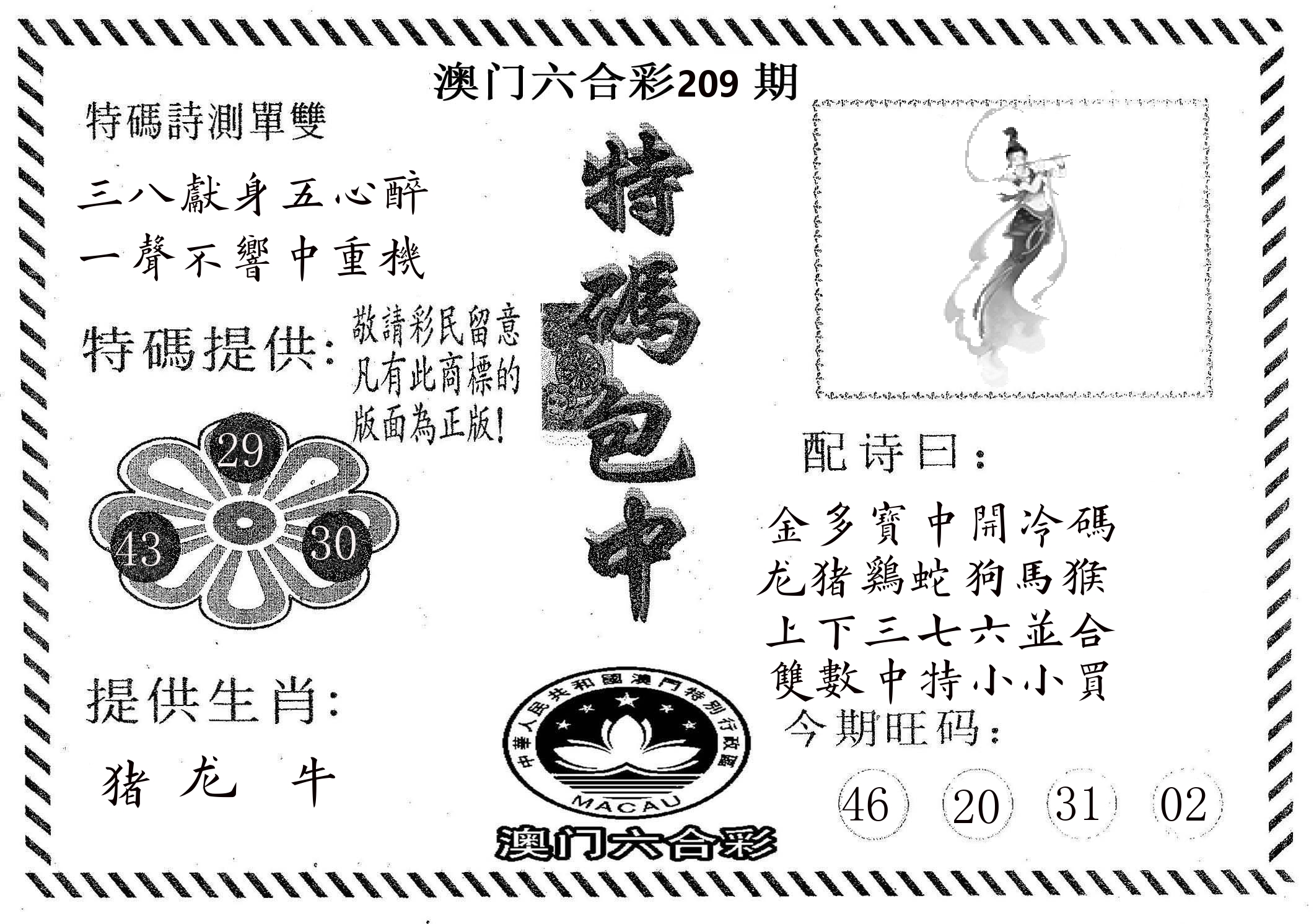 特码包中 第209期