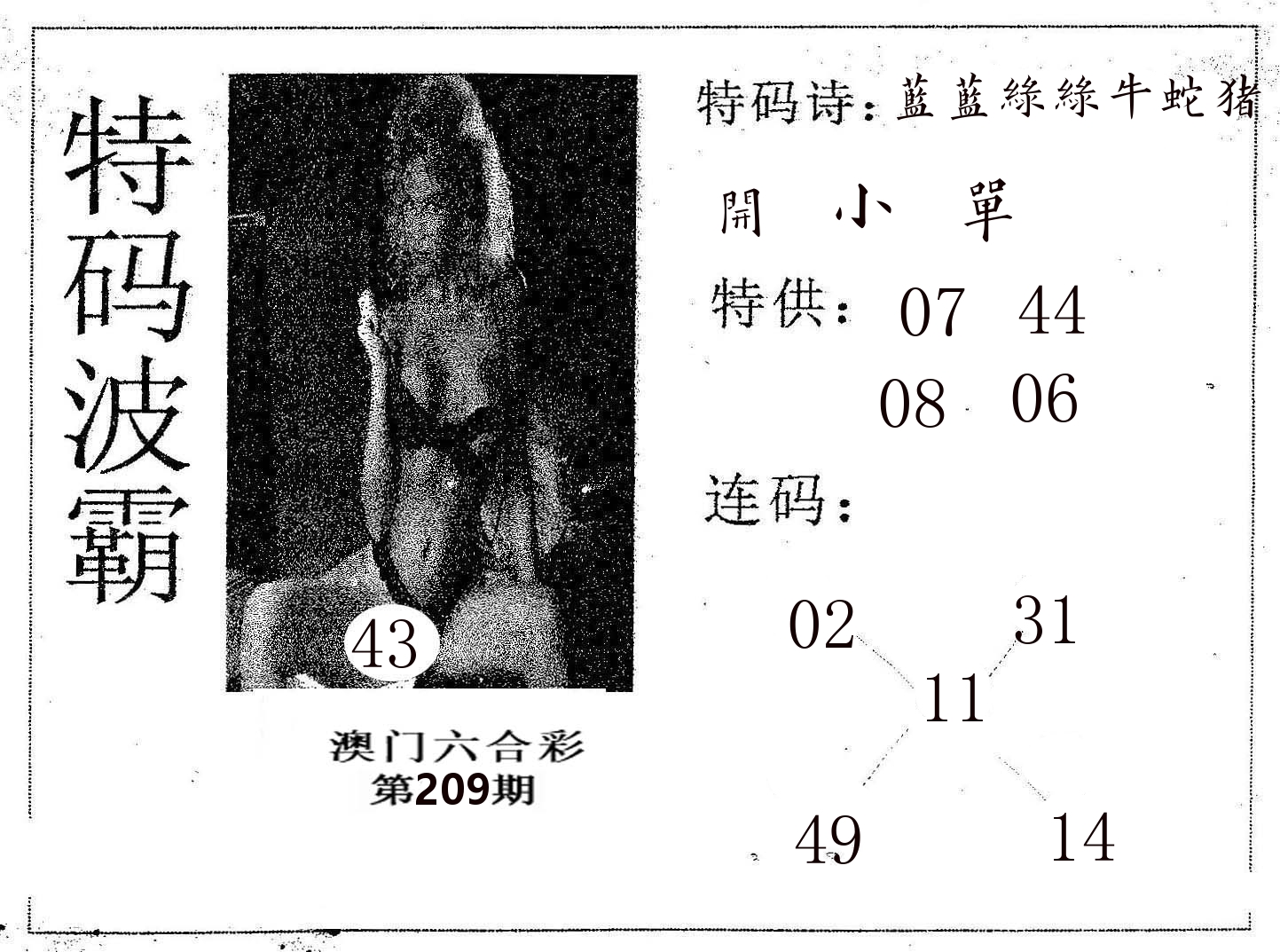 特码波霸 第209期