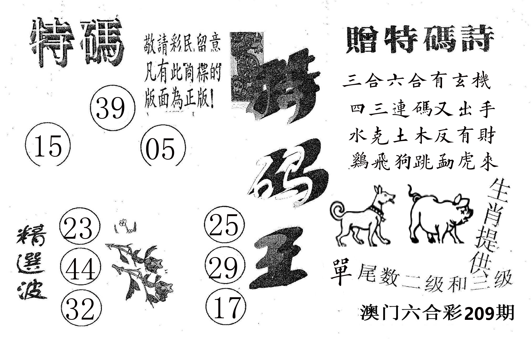 特码王A 第209期