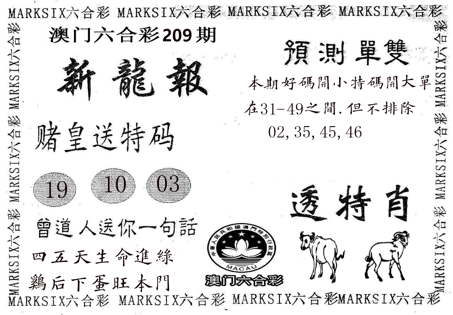 新龙报 第209期