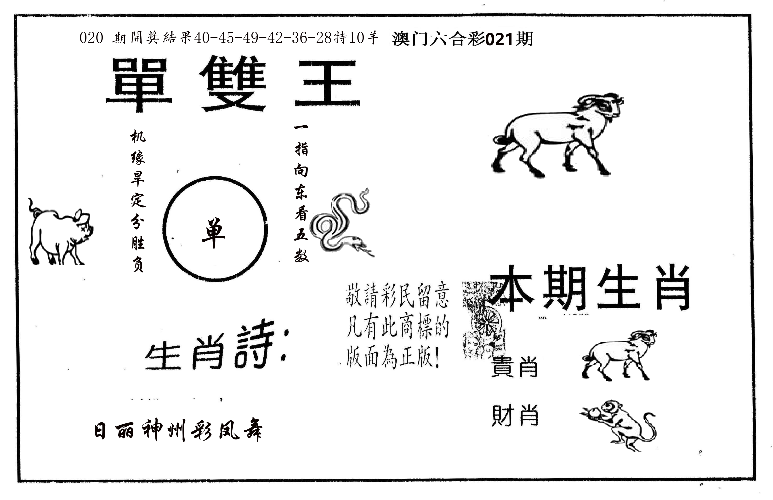 单双王A 第21期