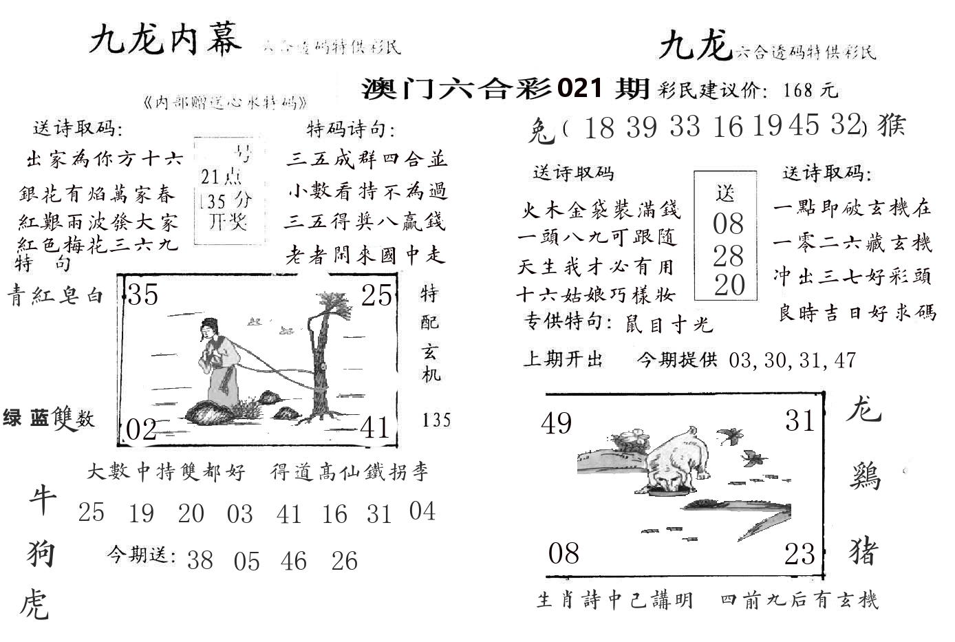 九龙内幕 第21期