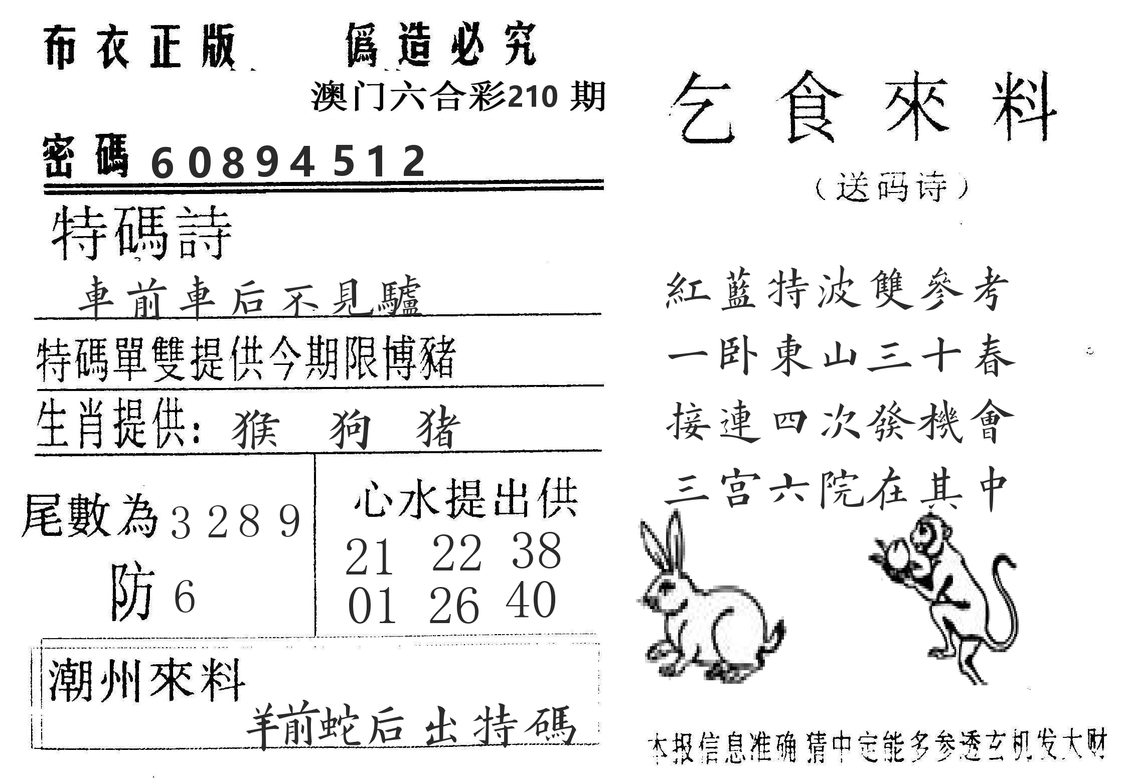 千禧码王 第210期