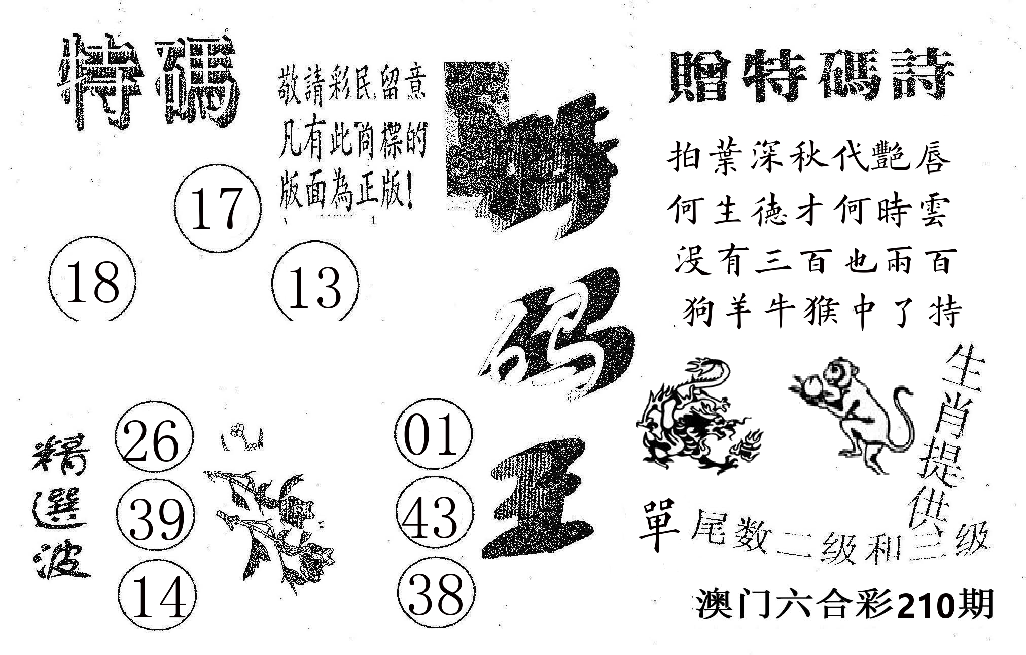 特码王A 第210期