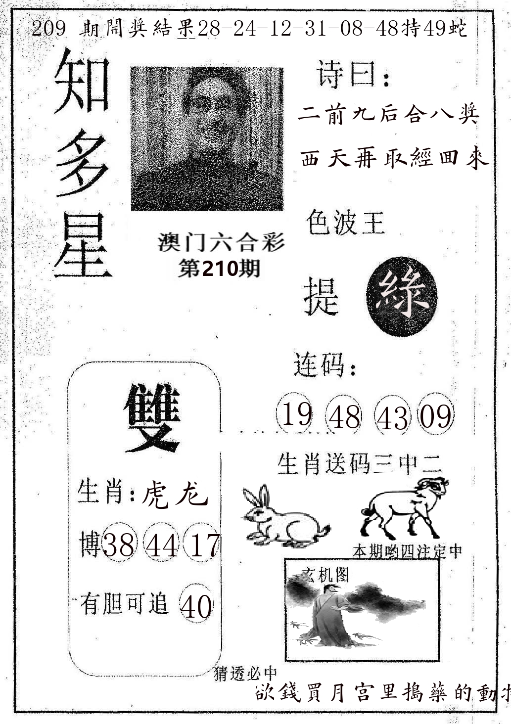 知多星 第210期