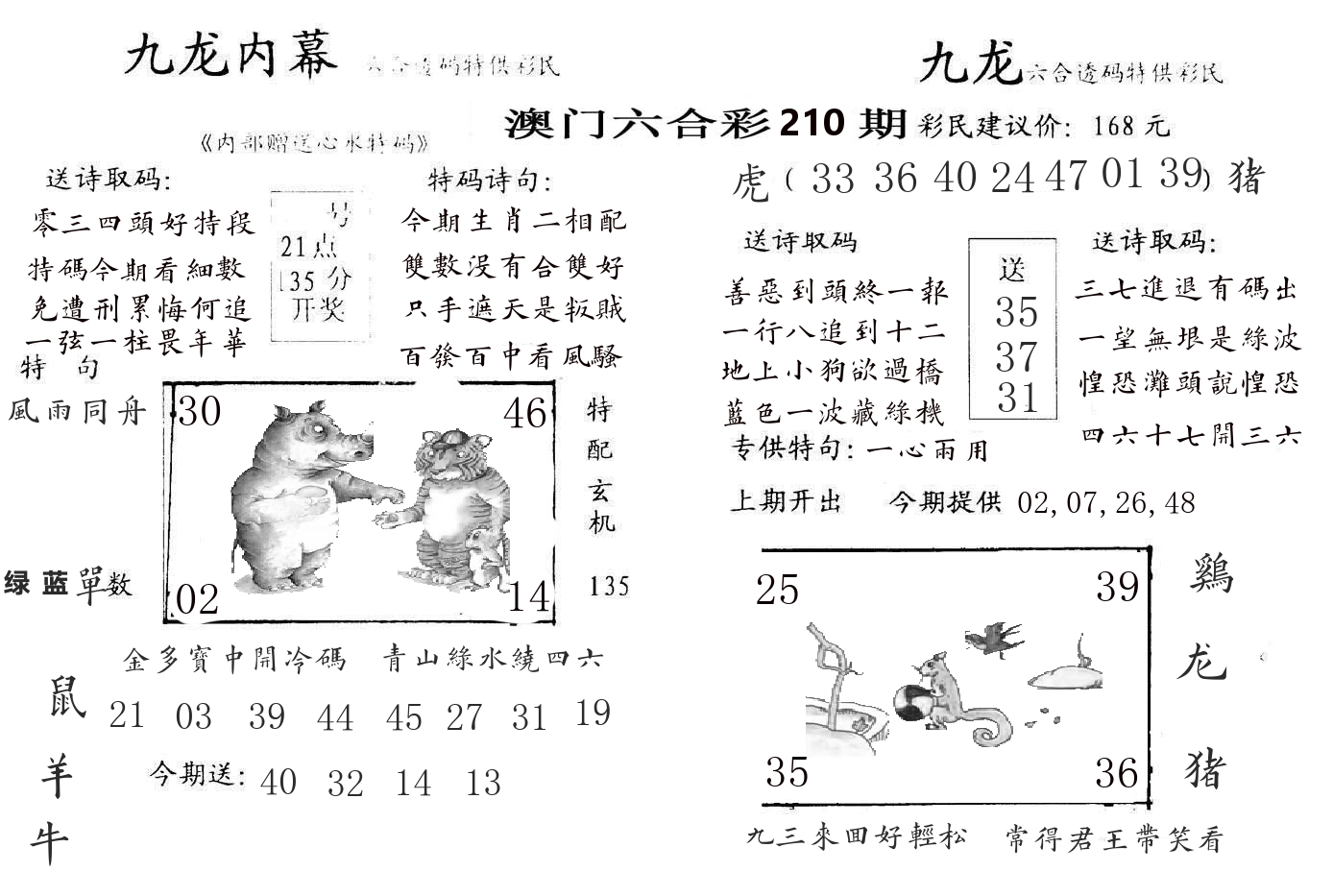 九龙内幕 第210期