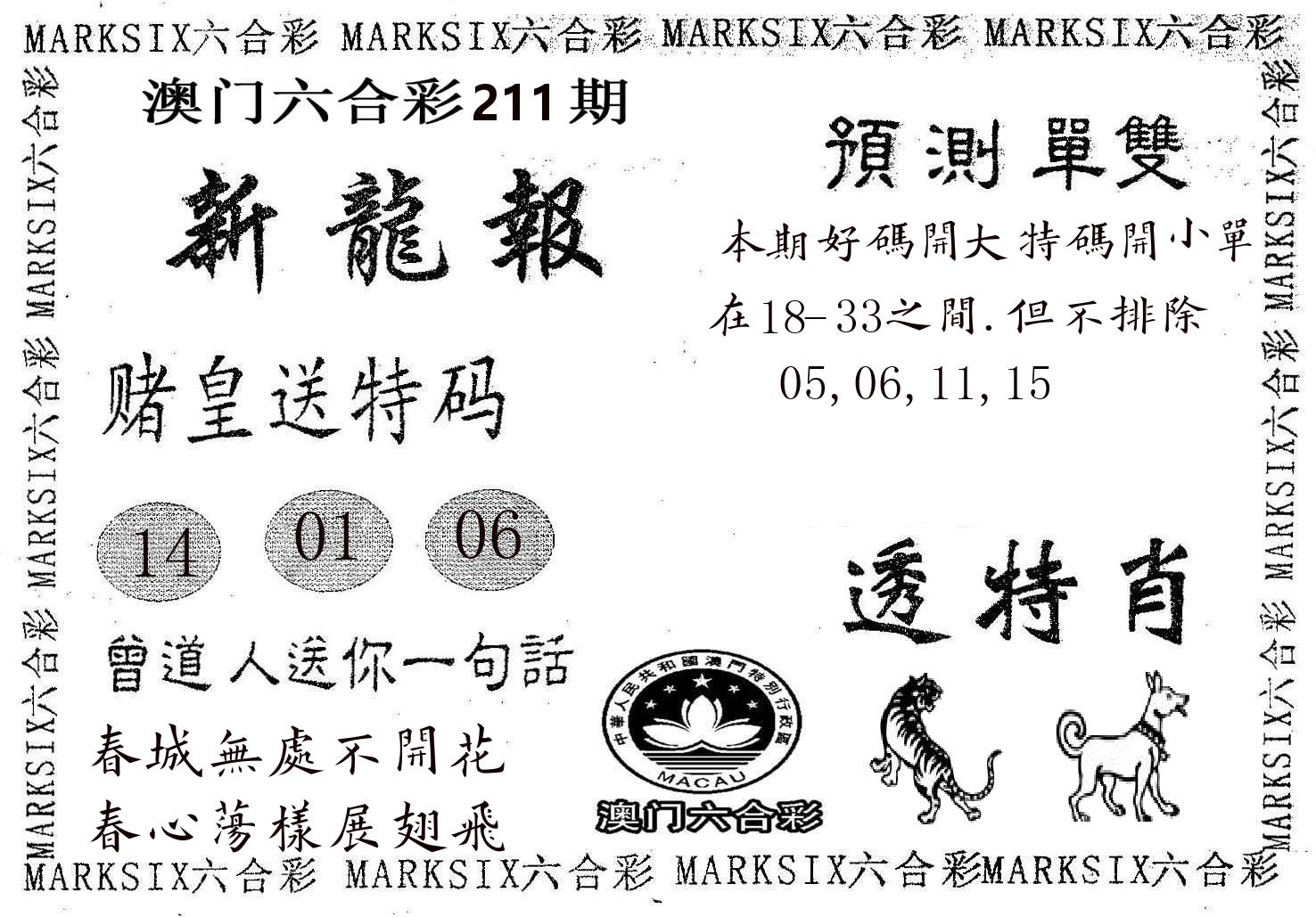 新龙报 第211期