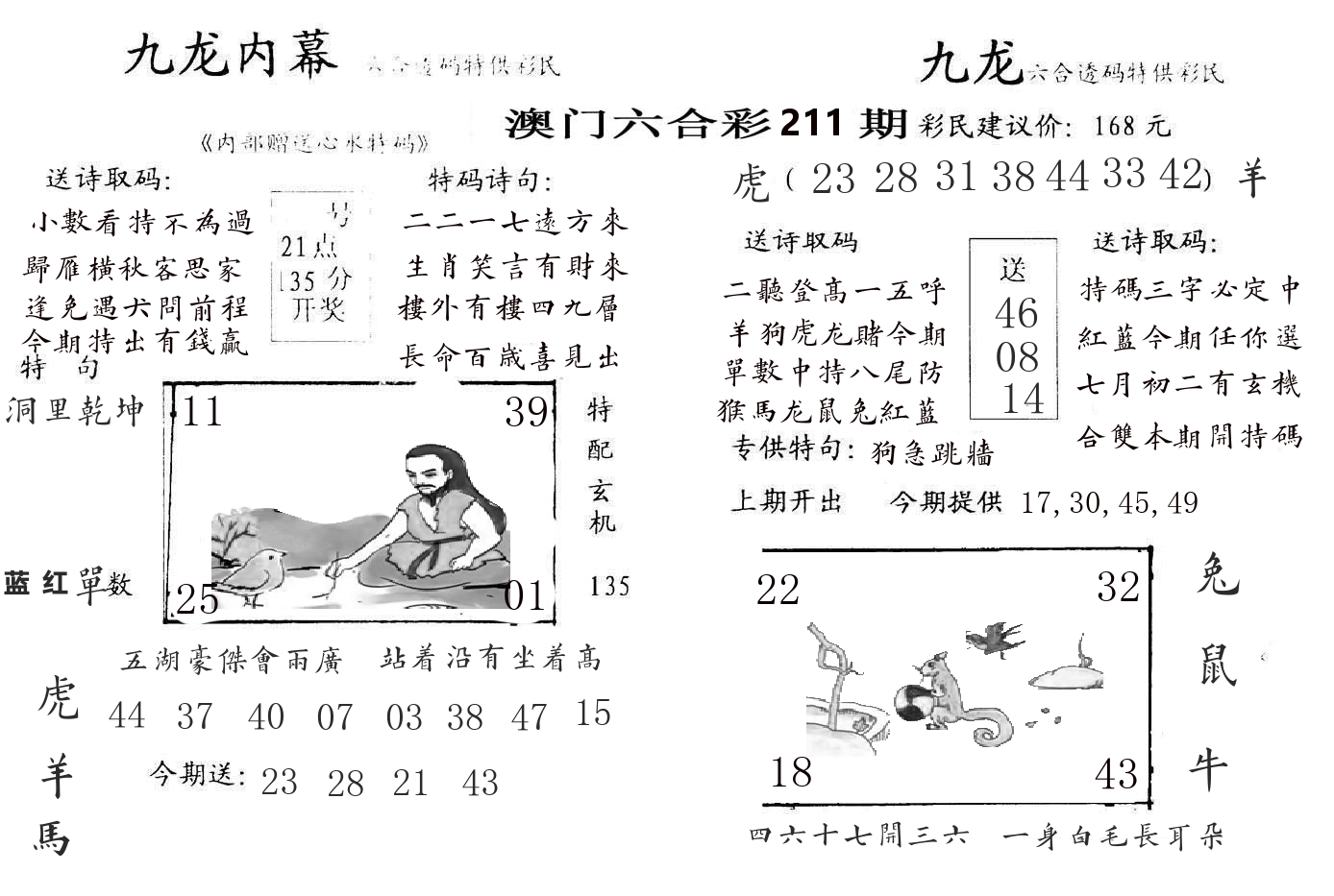 九龙内幕 第211期