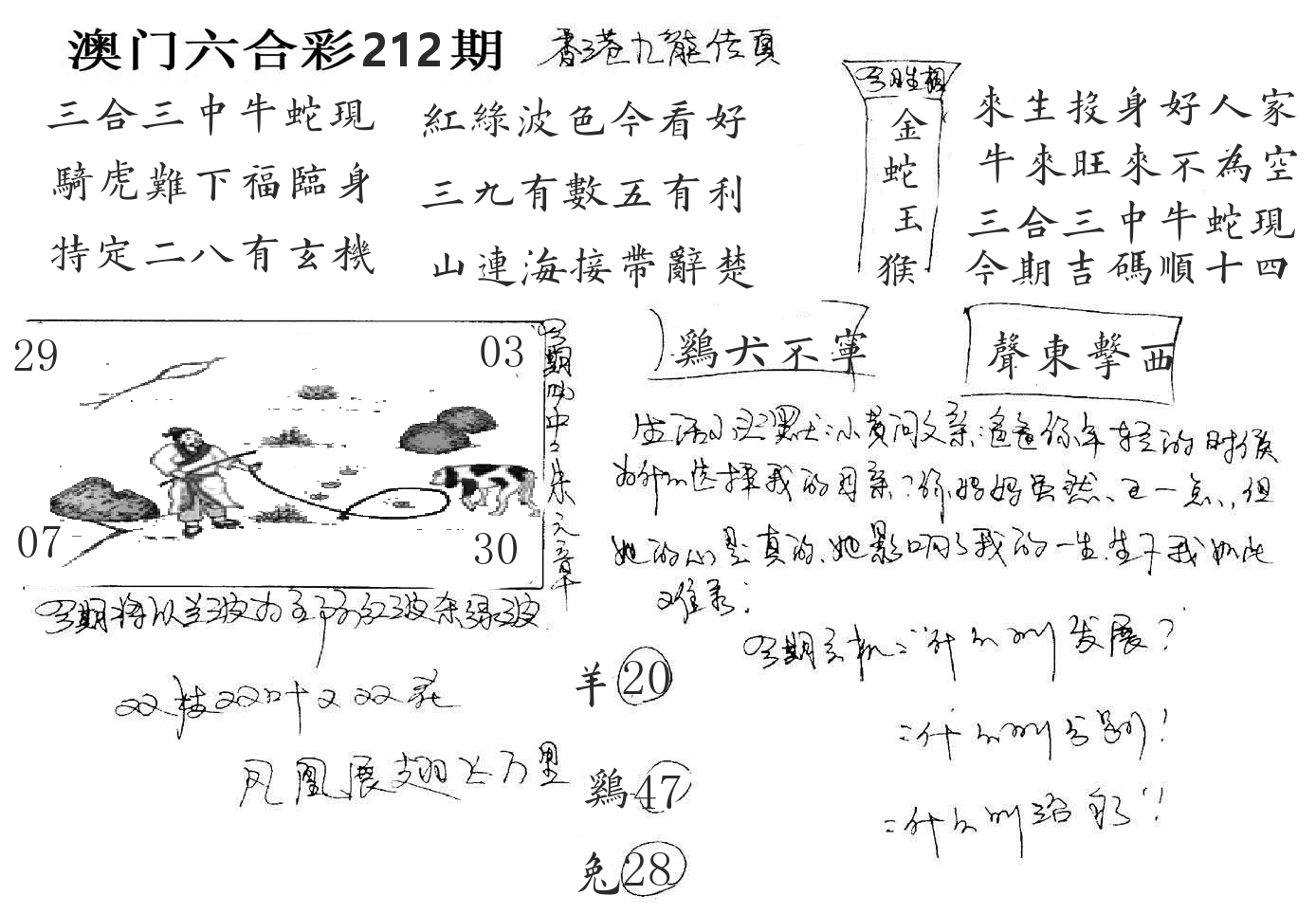 澳门手写九龙 第212期