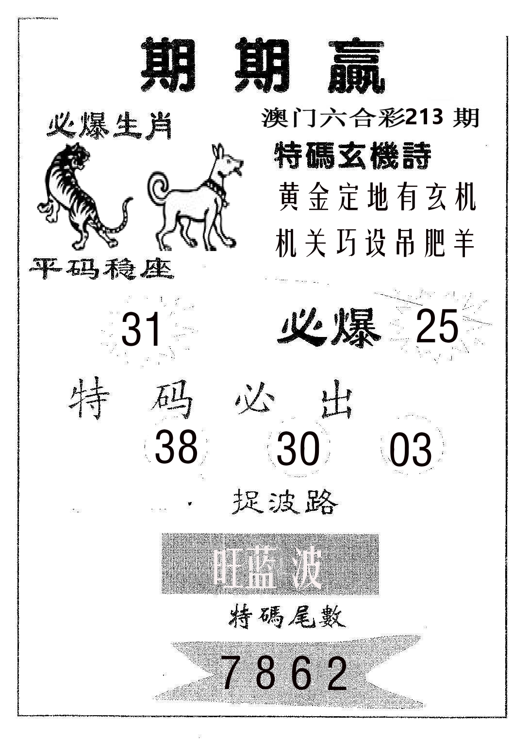 期期赢 第213期
