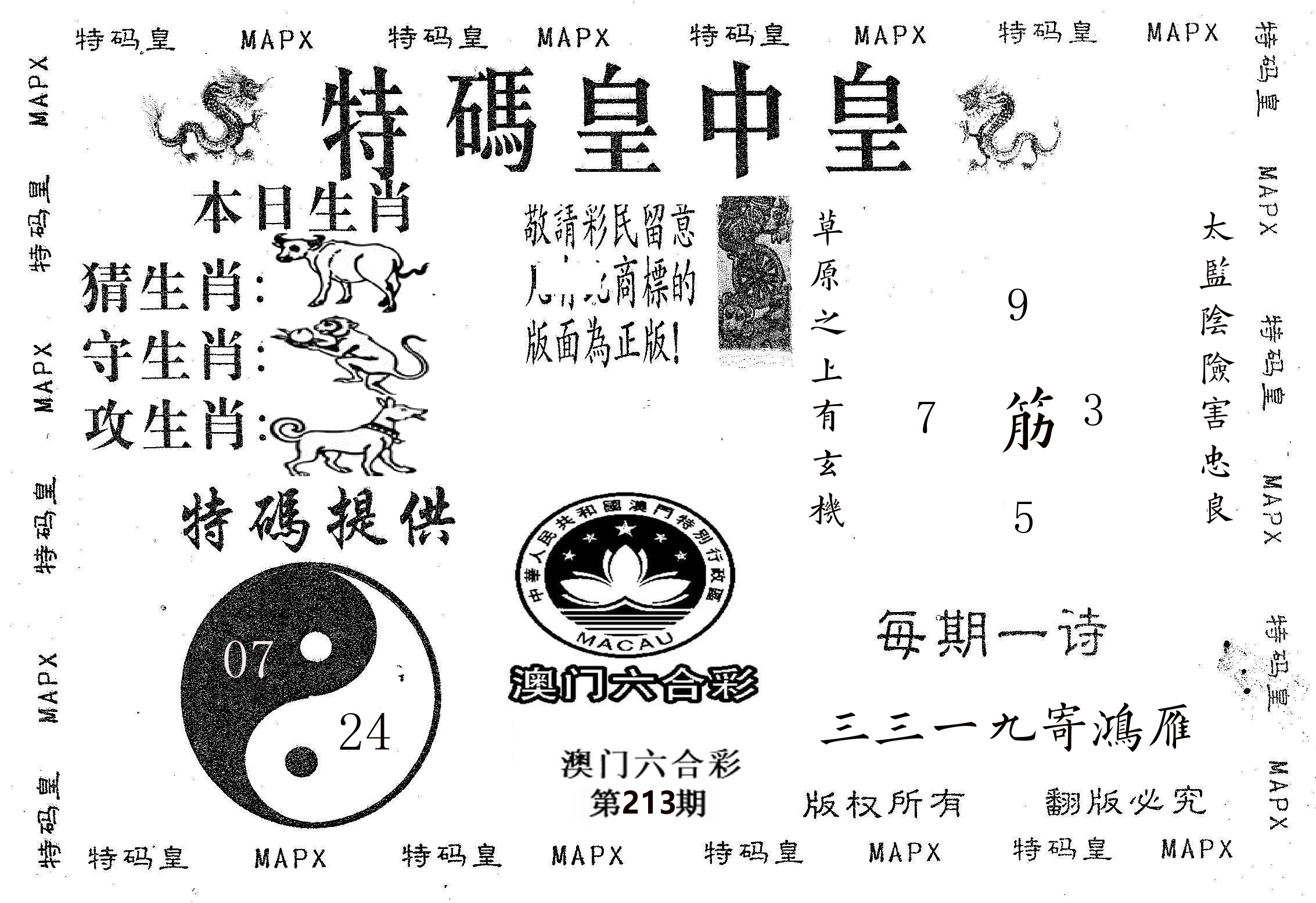 皇中皇B 第213期