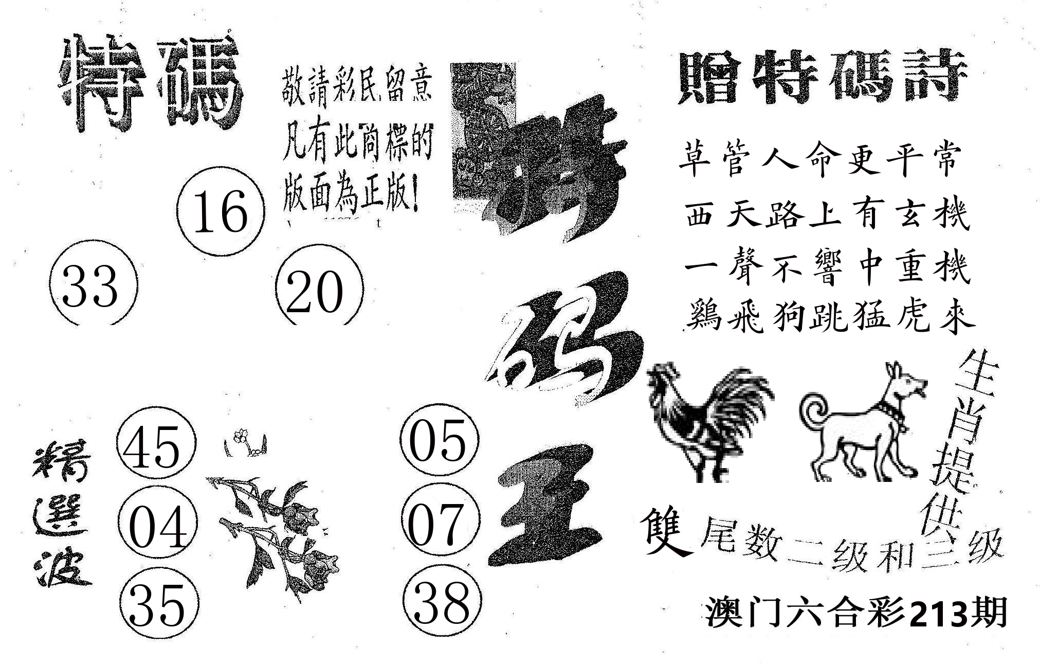 特码王A 第213期