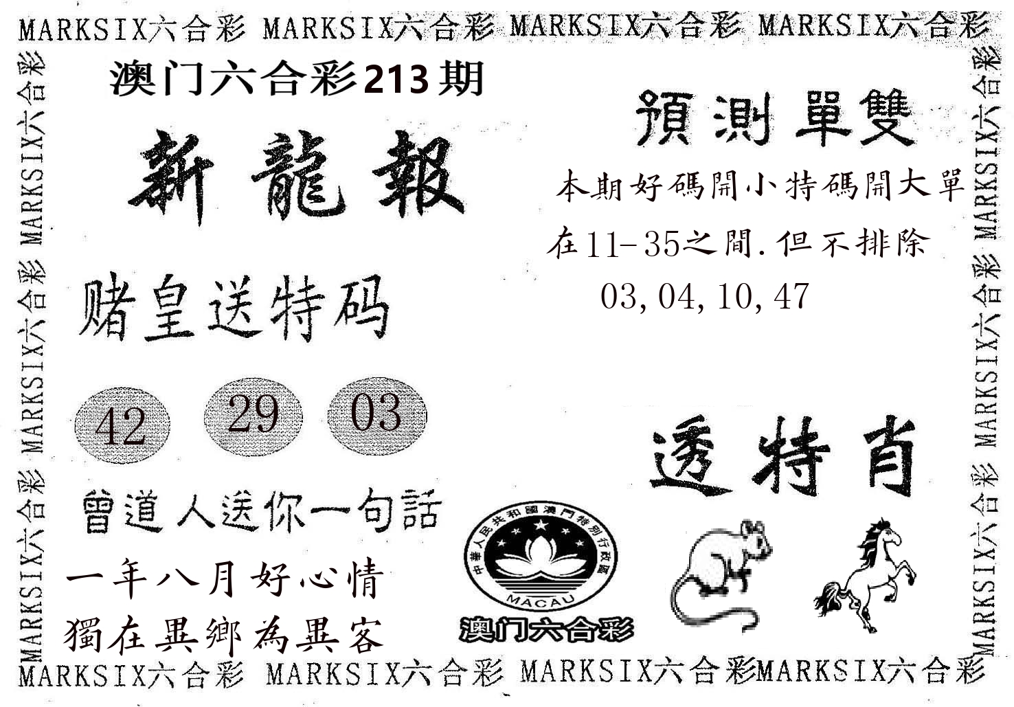 新龙报 第213期