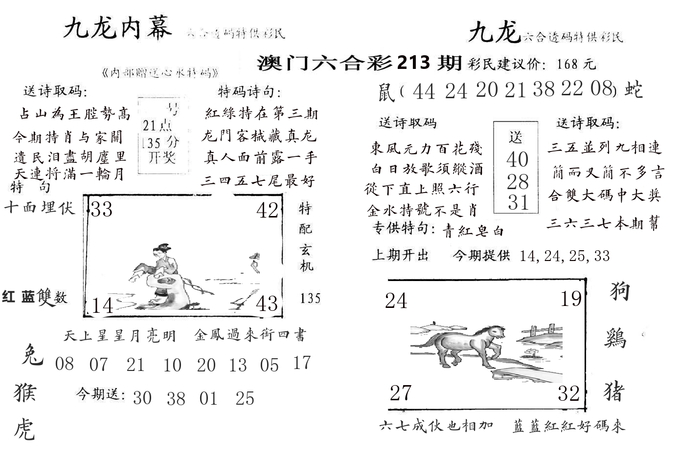 九龙内幕 第213期