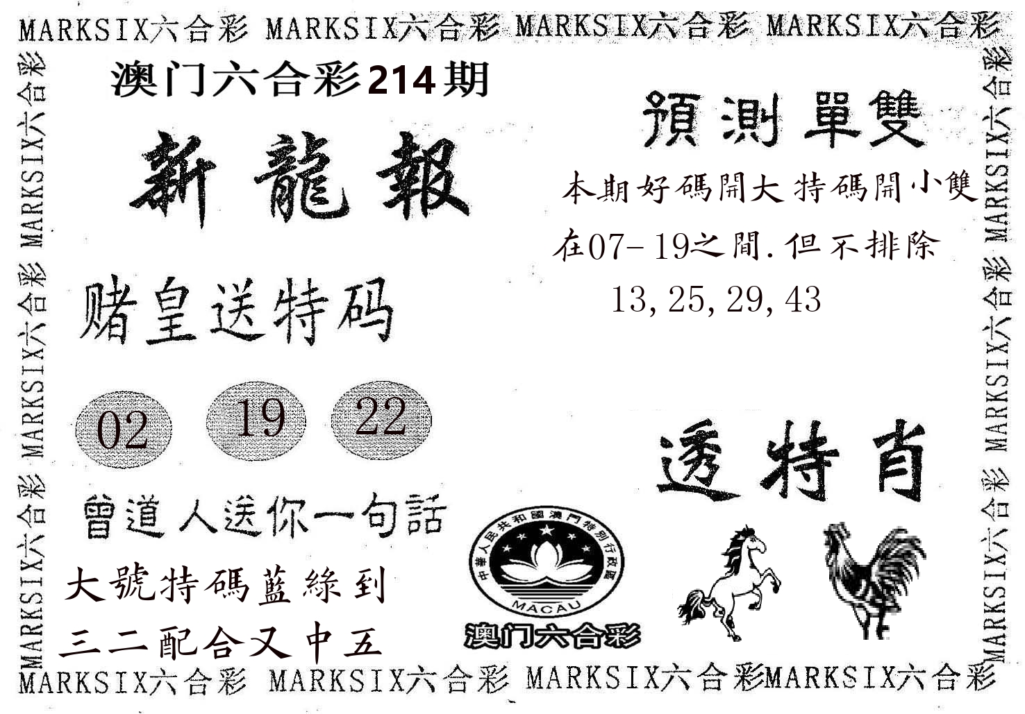 新龙报 第214期