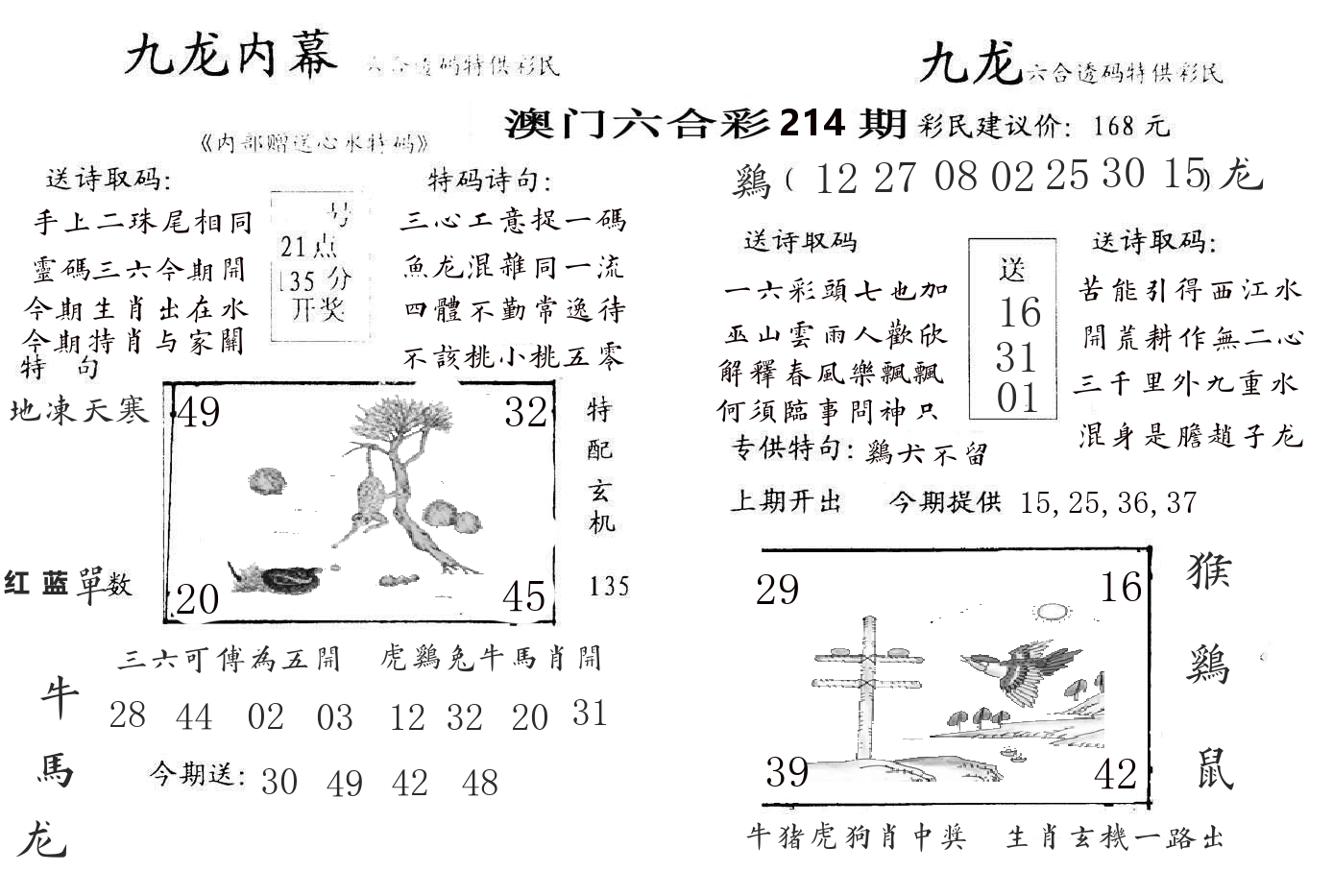 九龙内幕 第214期