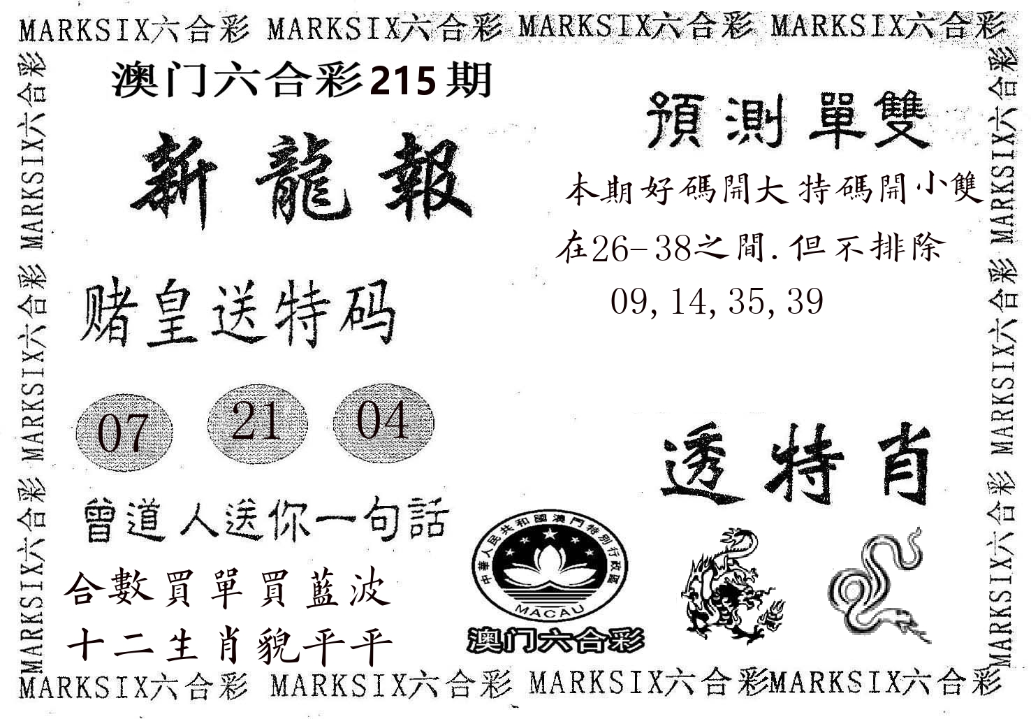 新龙报 第215期