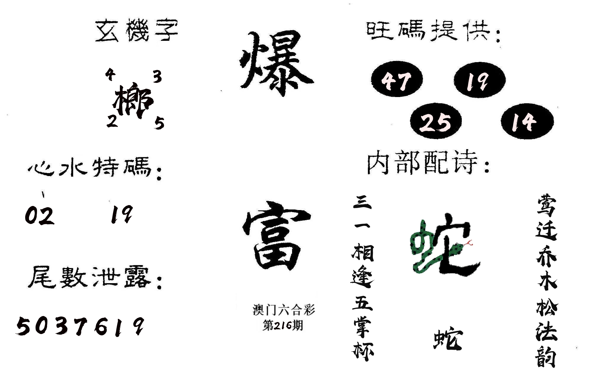 爆富 第216期