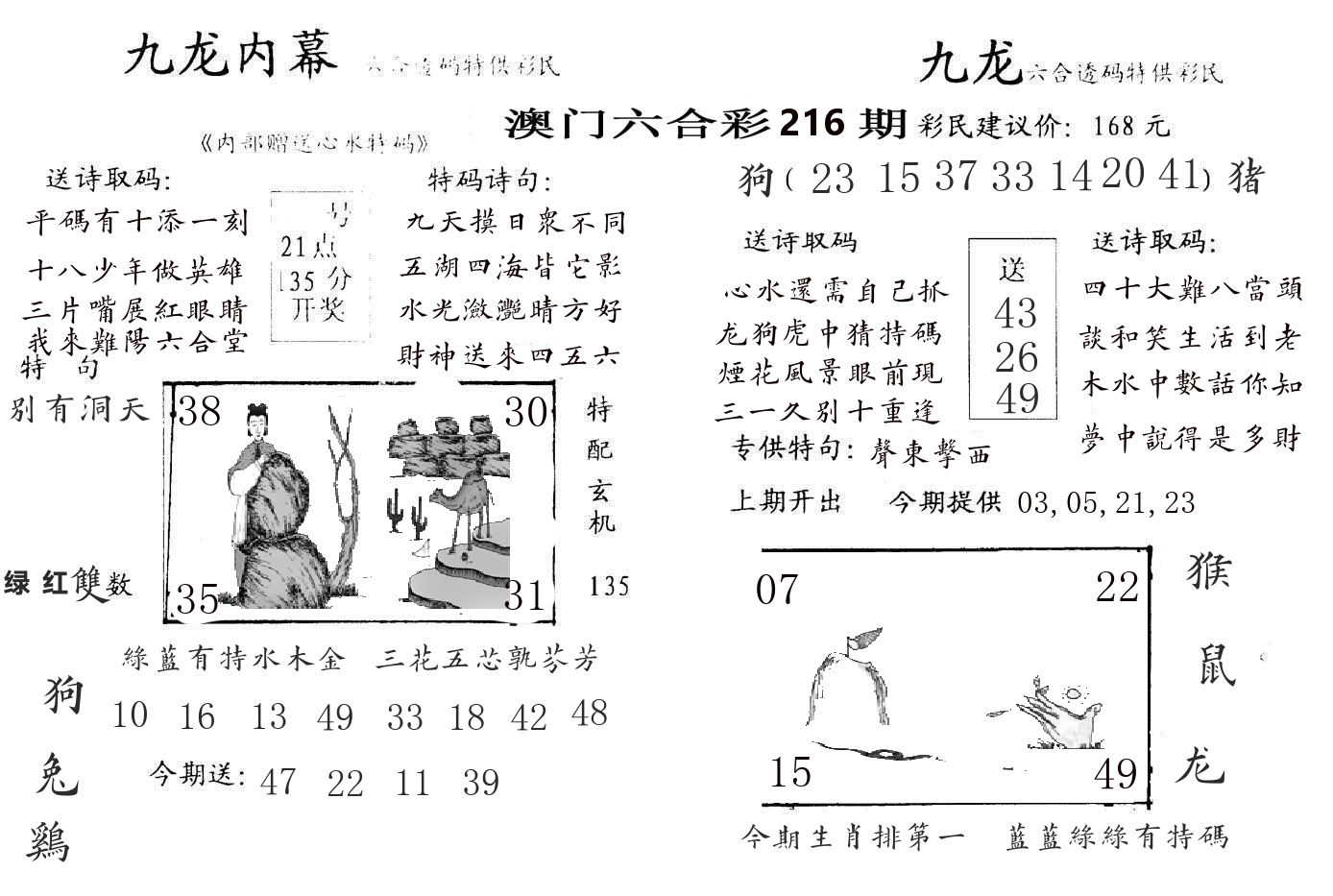 九龙内幕 第216期