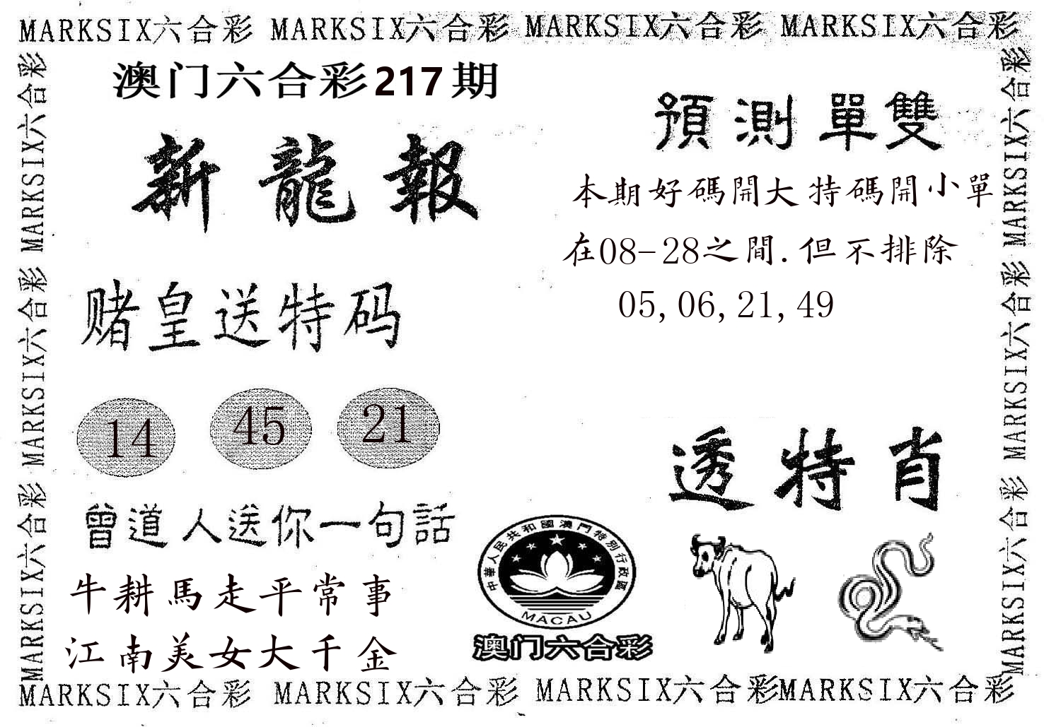 新龙报 第217期