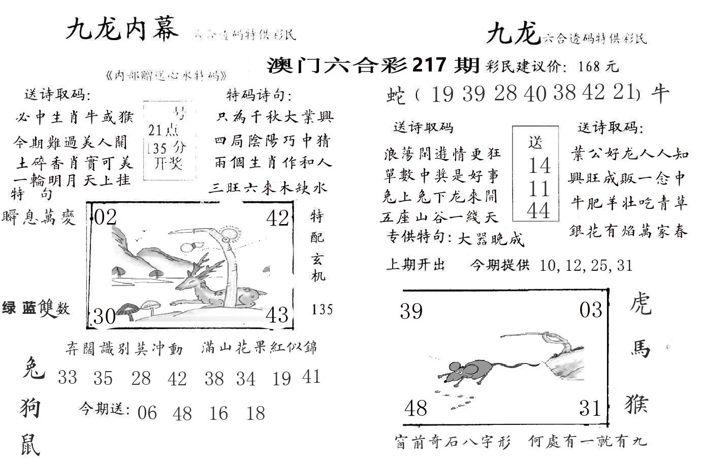 九龙内幕 第217期
