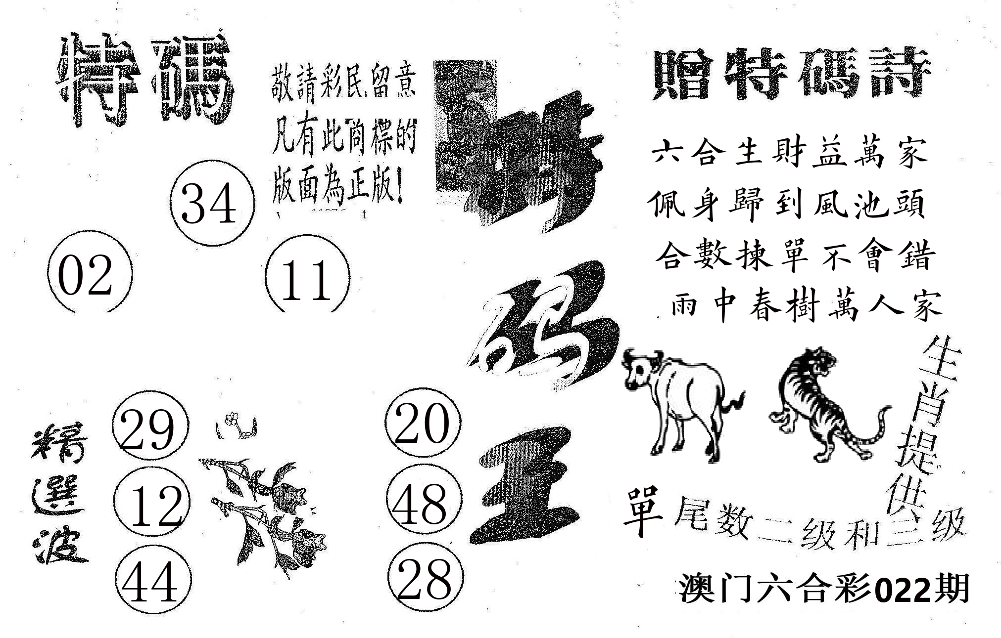 特码王A 第22期