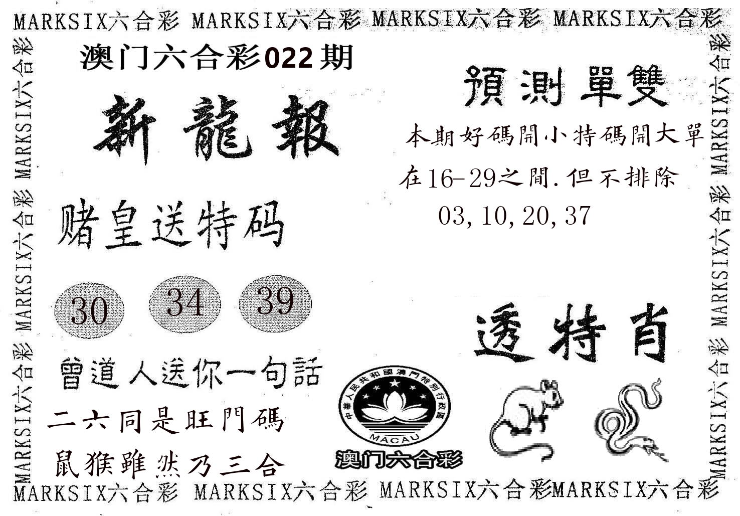 新龙报 第22期