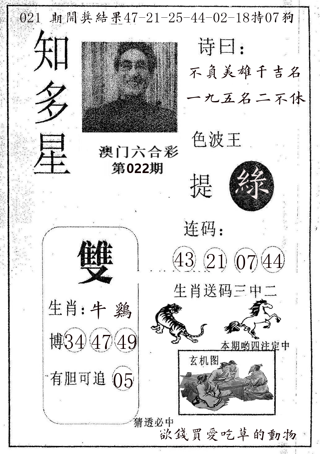 知多星 第22期