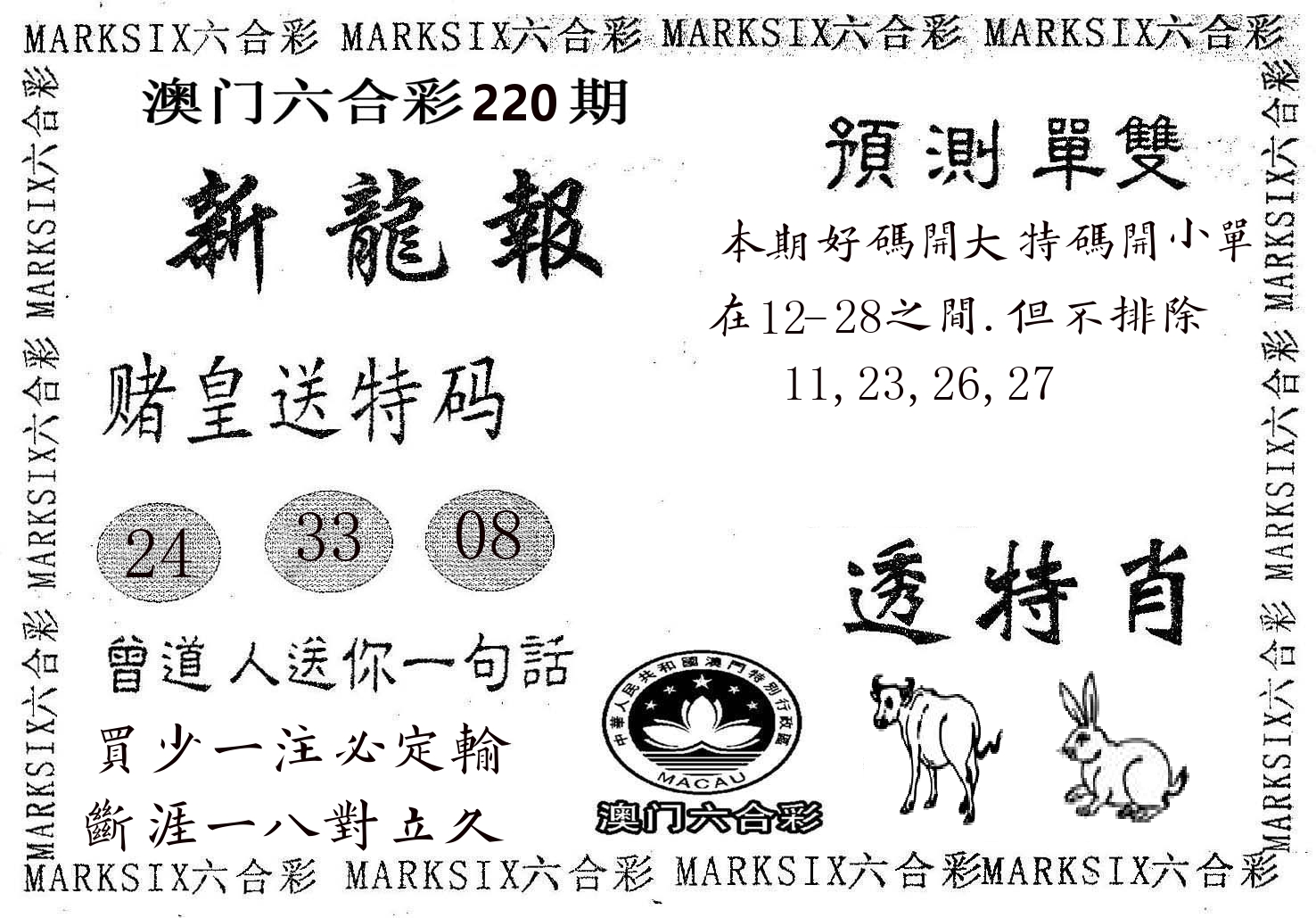 新龙报 第220期