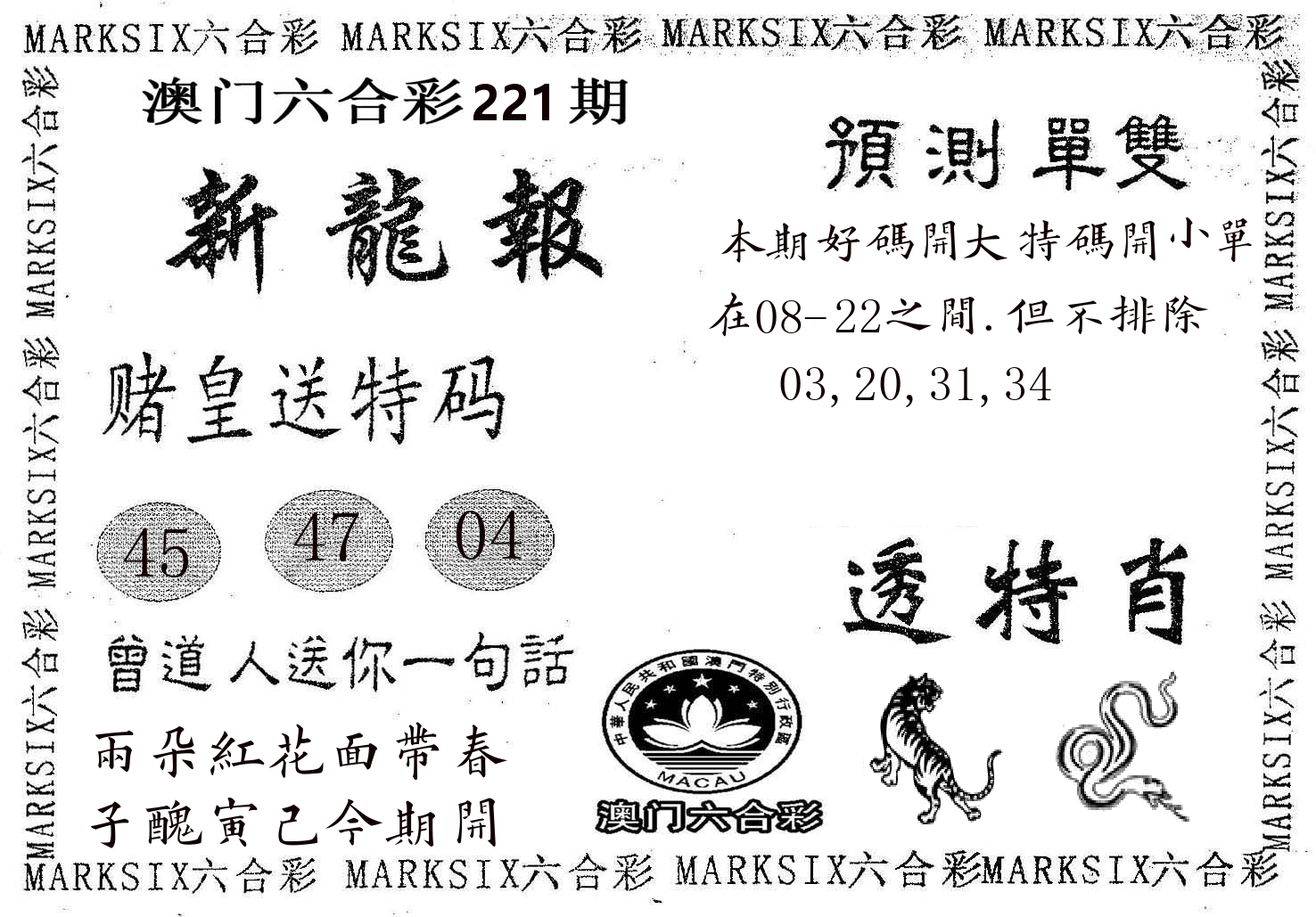 新龙报 第221期