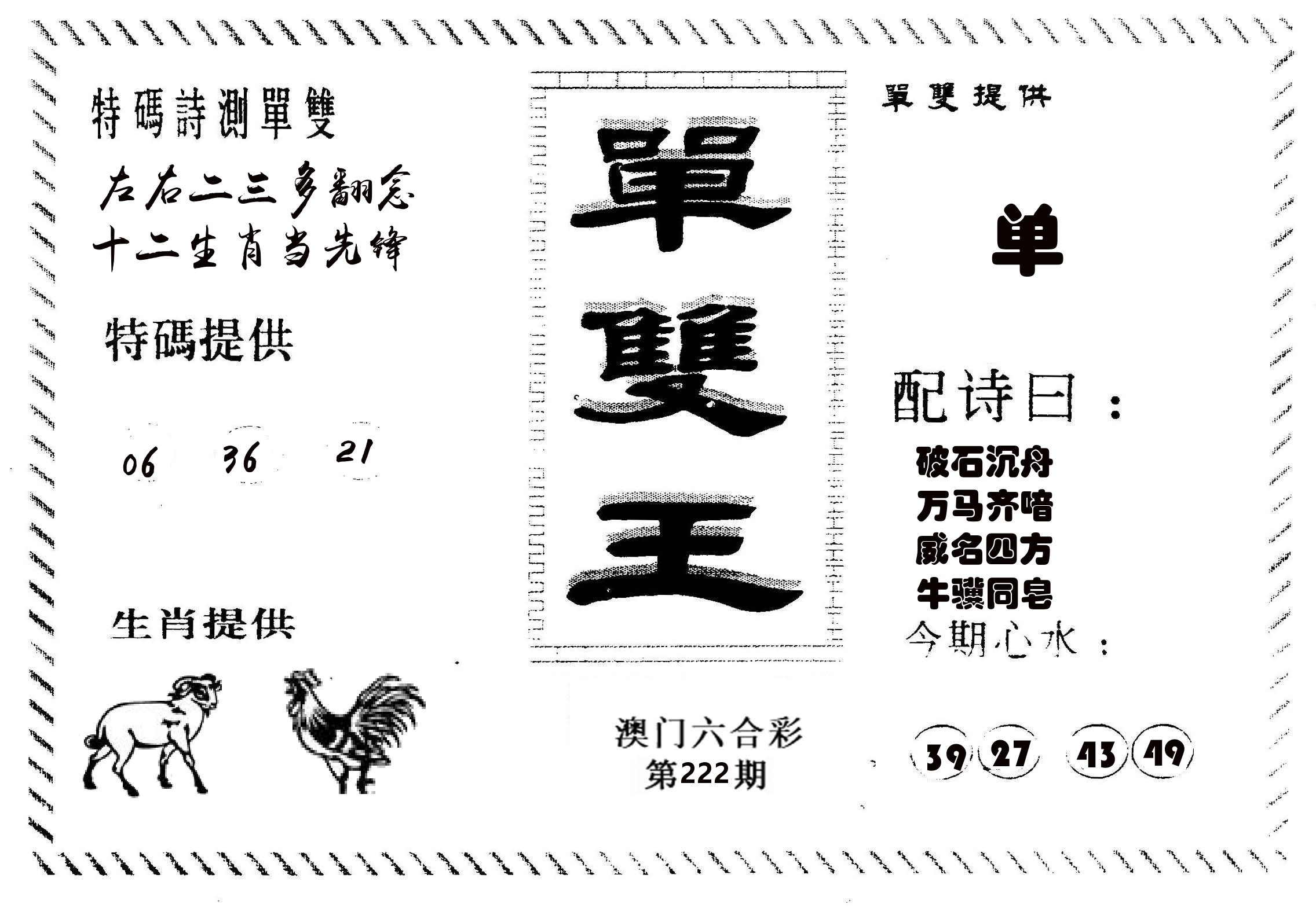单双王B 第222期