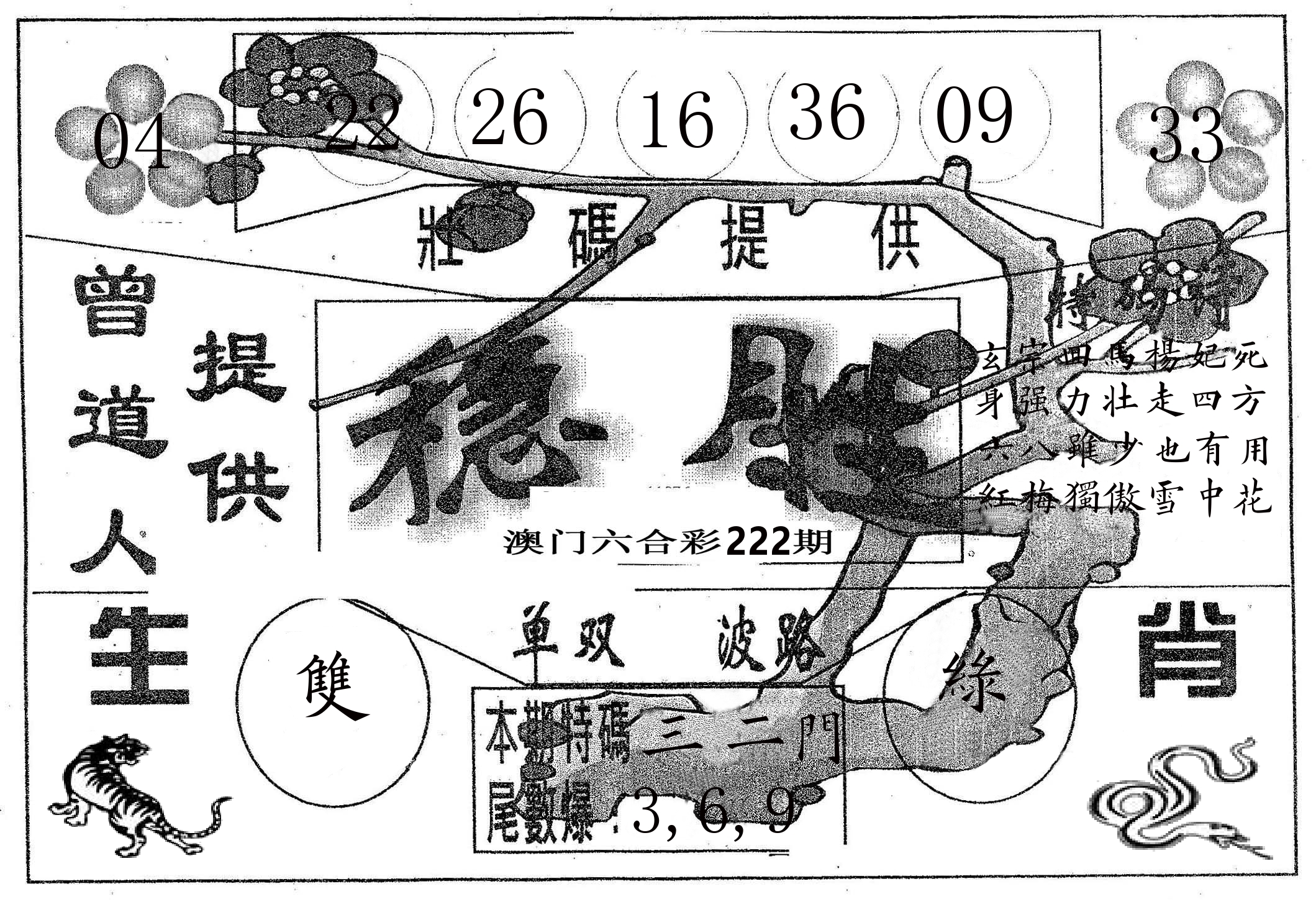 稳胜 第222期