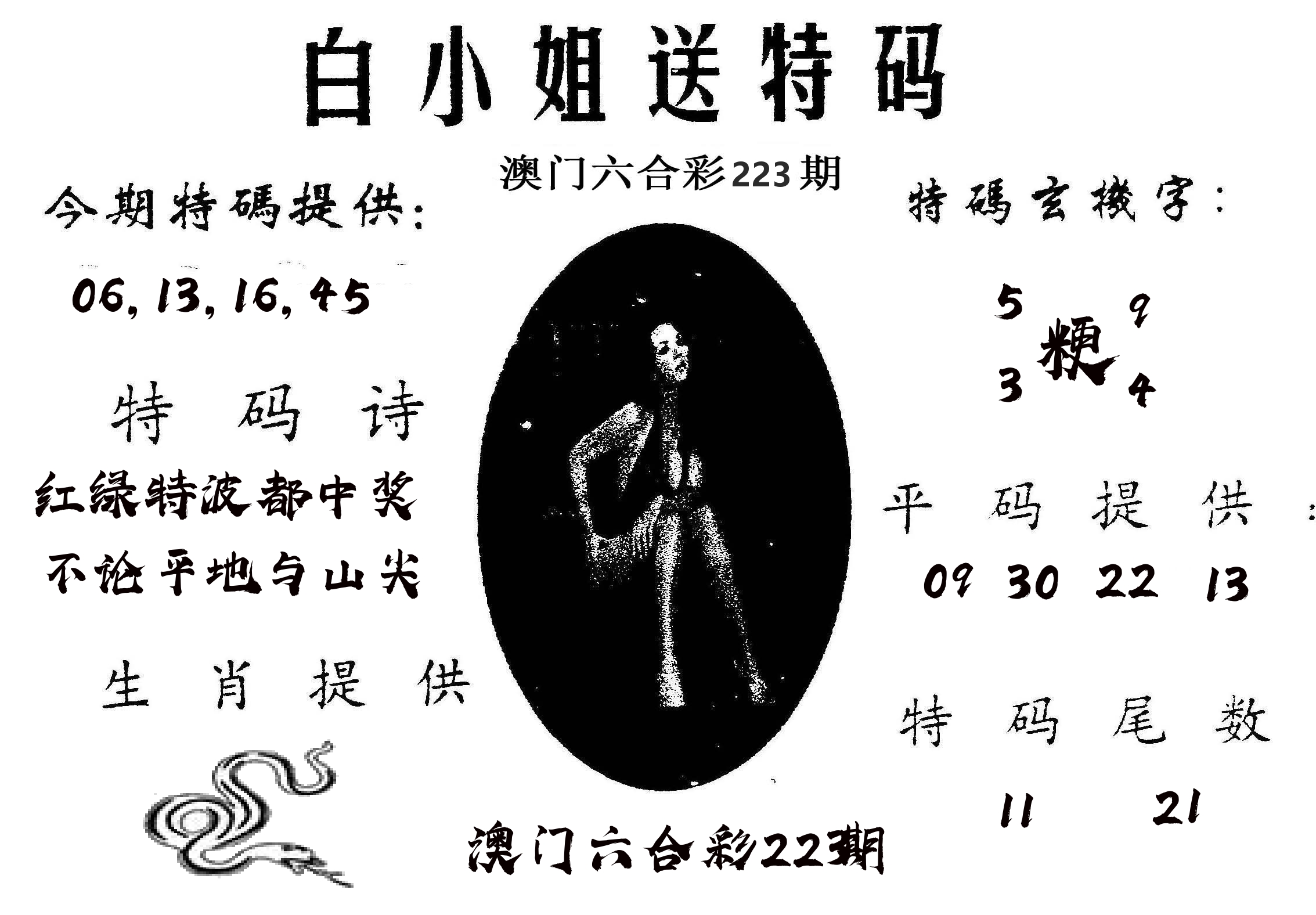 白姐送特 第223期
