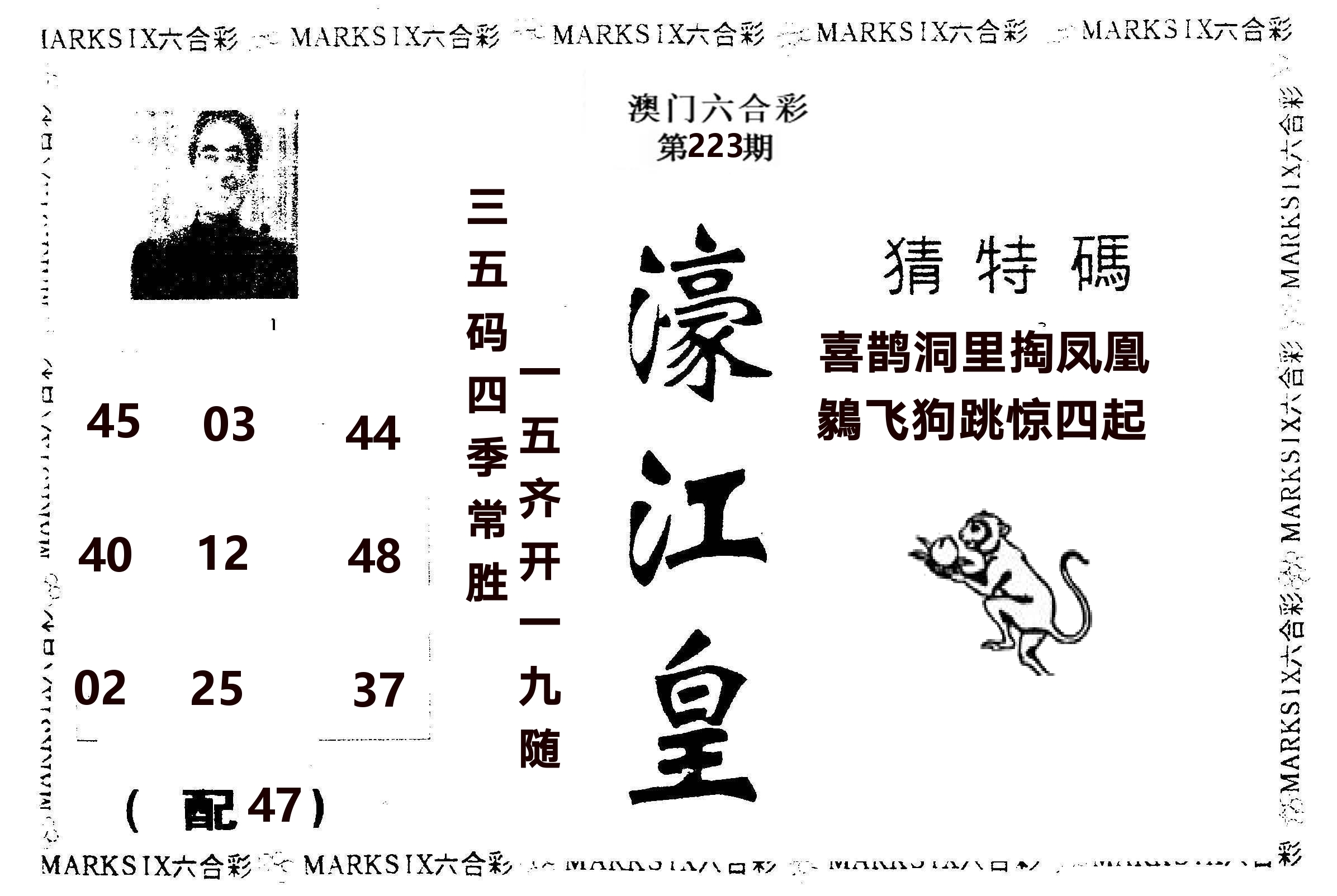 濠江皇 第223期