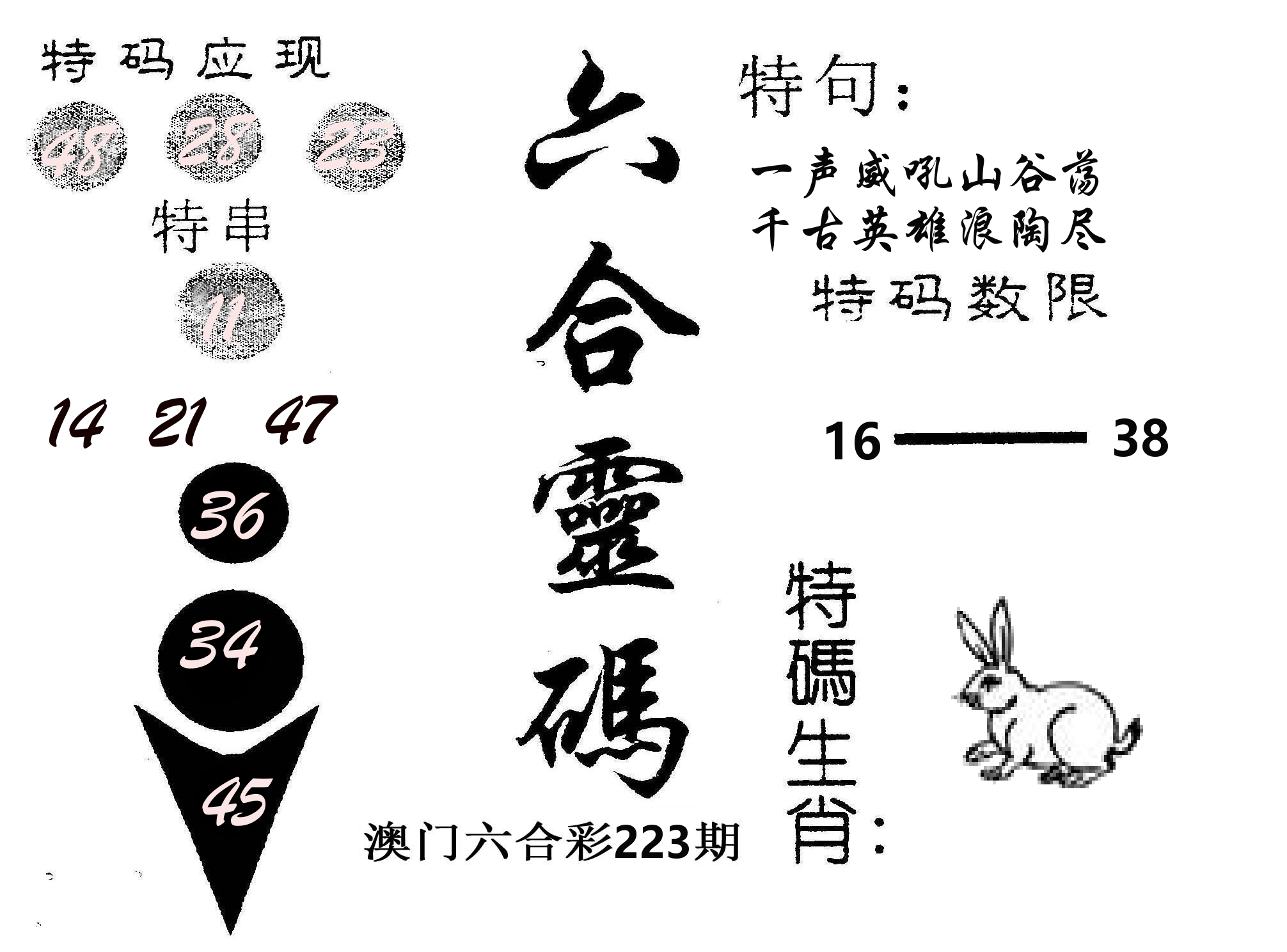 六合灵码 第223期