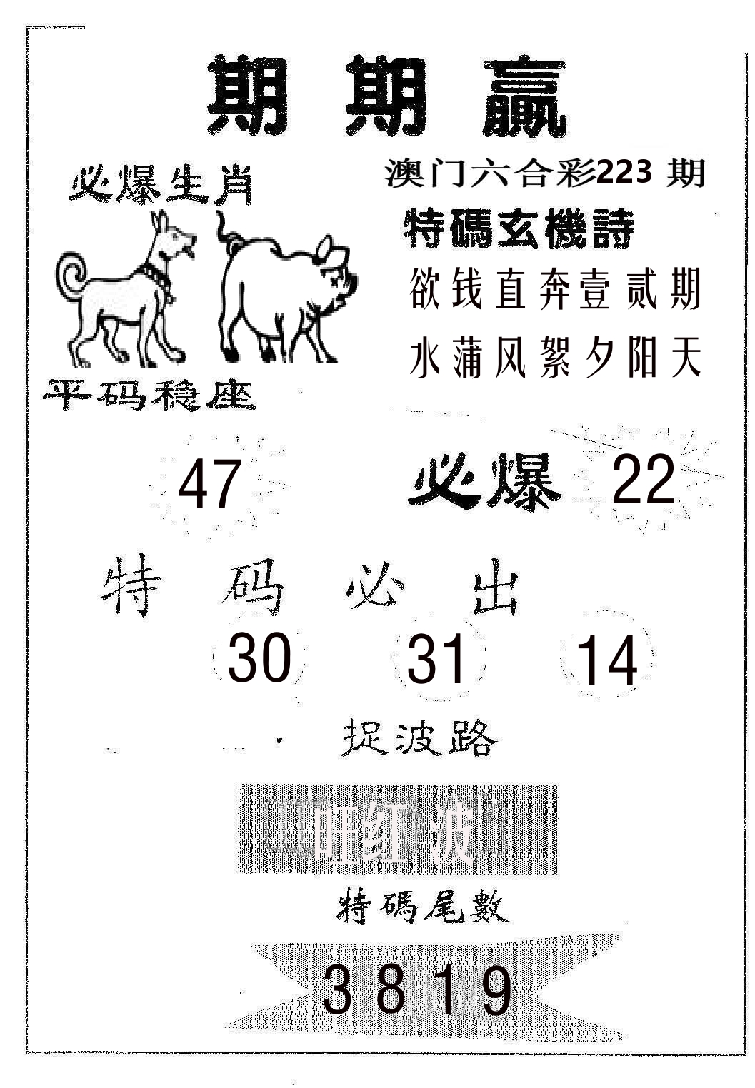 期期赢 第223期