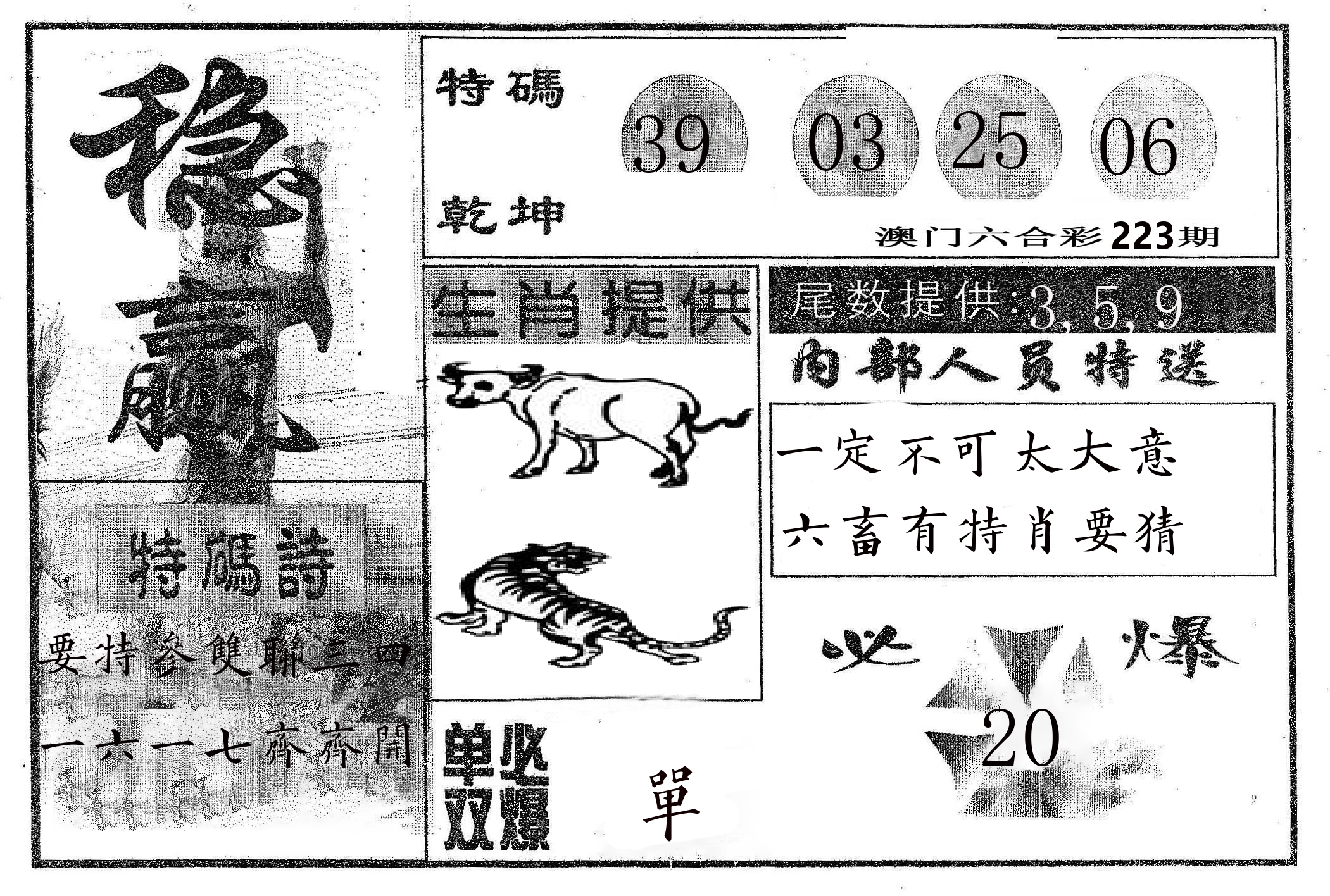 稳赢 第223期