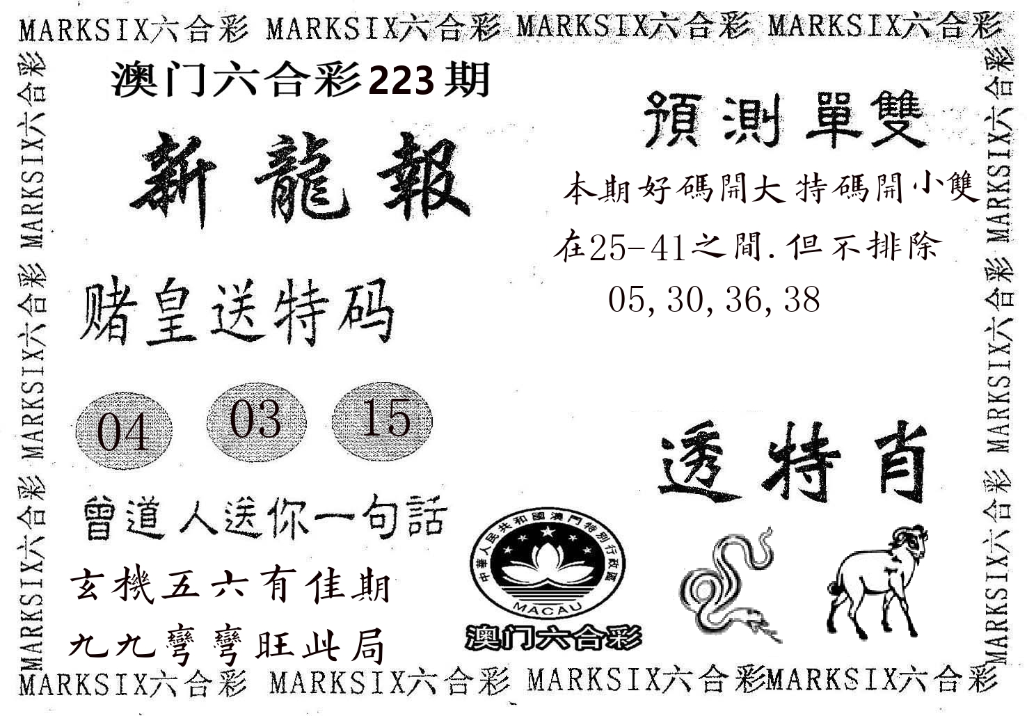 新龙报 第223期