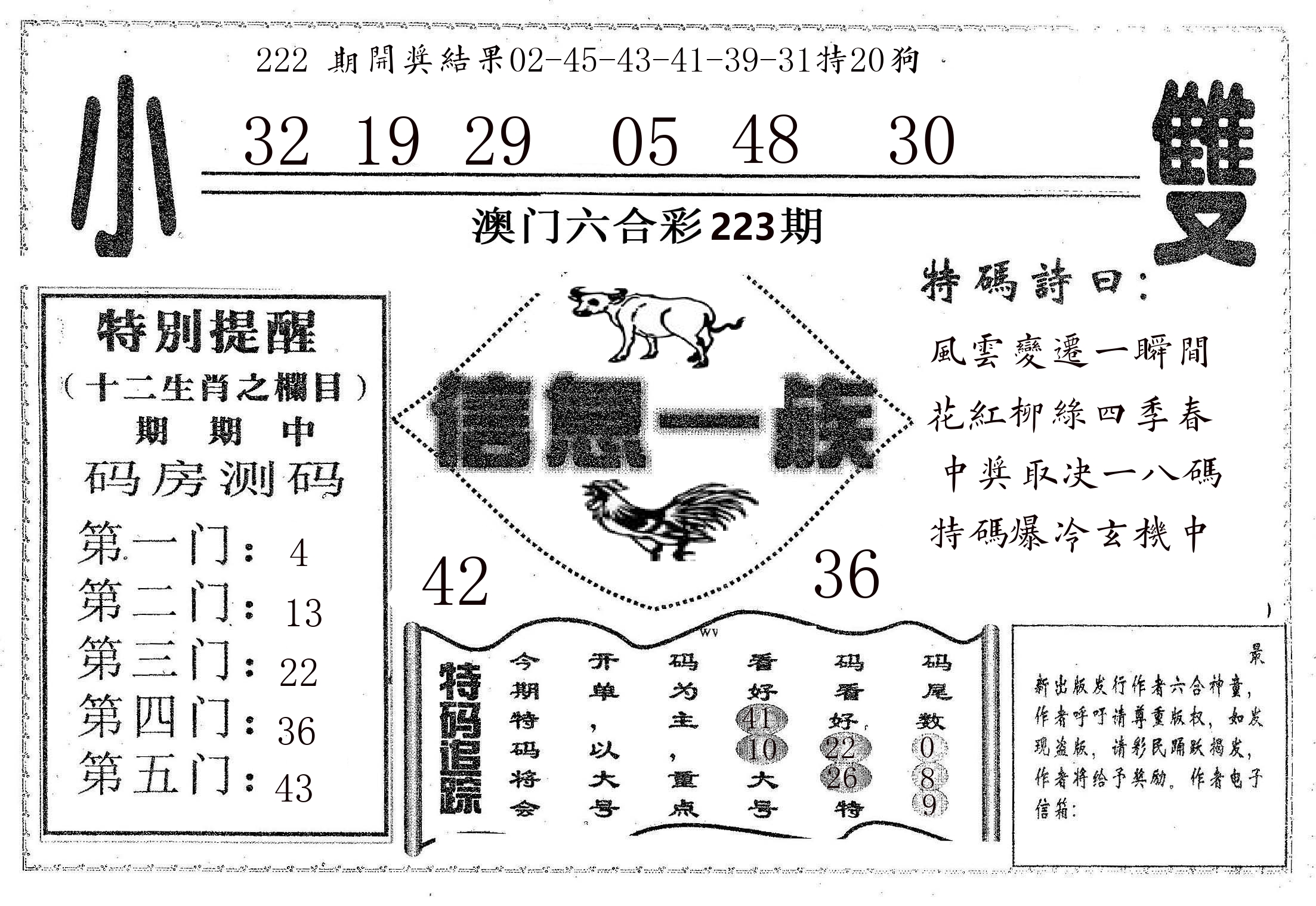 信息一族 第223期