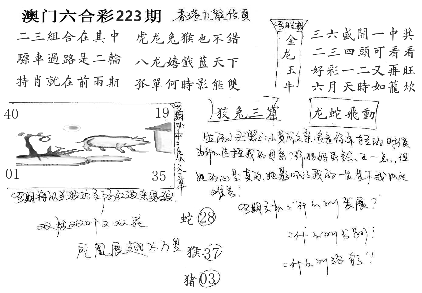 澳门手写九龙 第223期