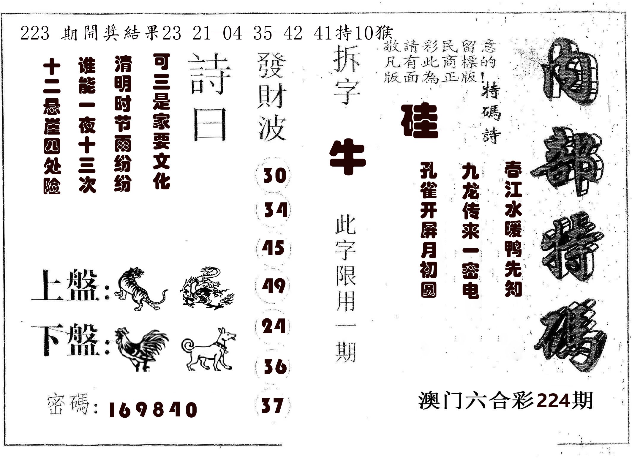 内部特码 第224期