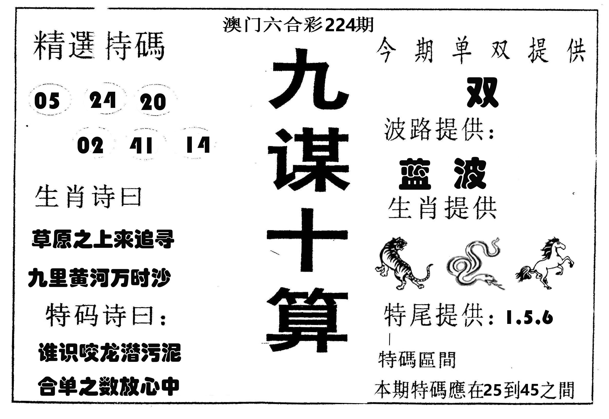 九谋十算 第224期