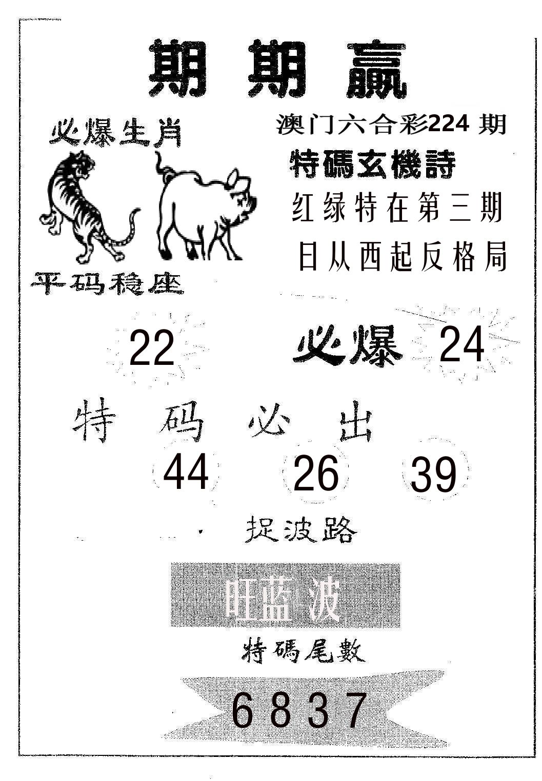期期赢 第224期