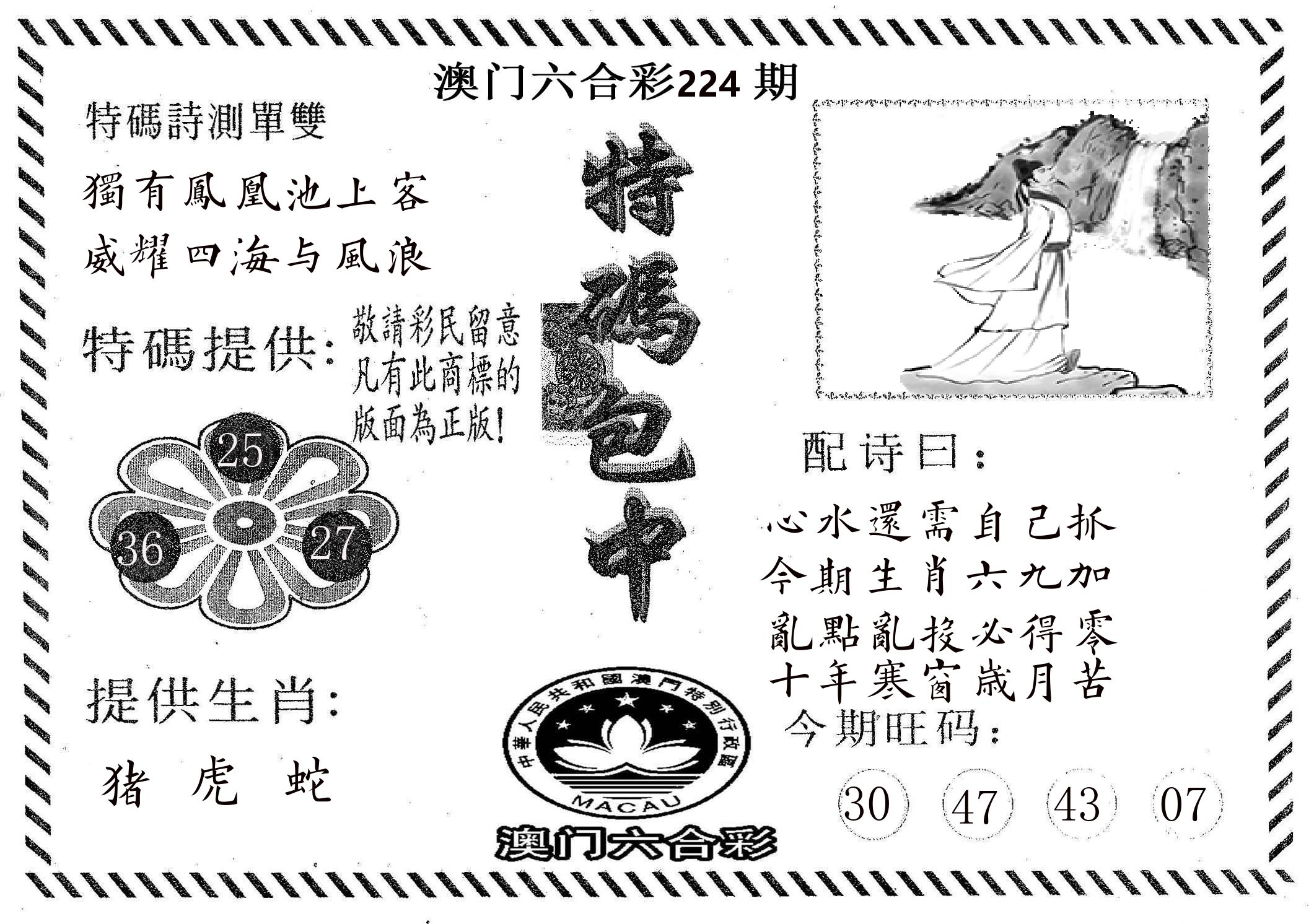 特码包中 第224期