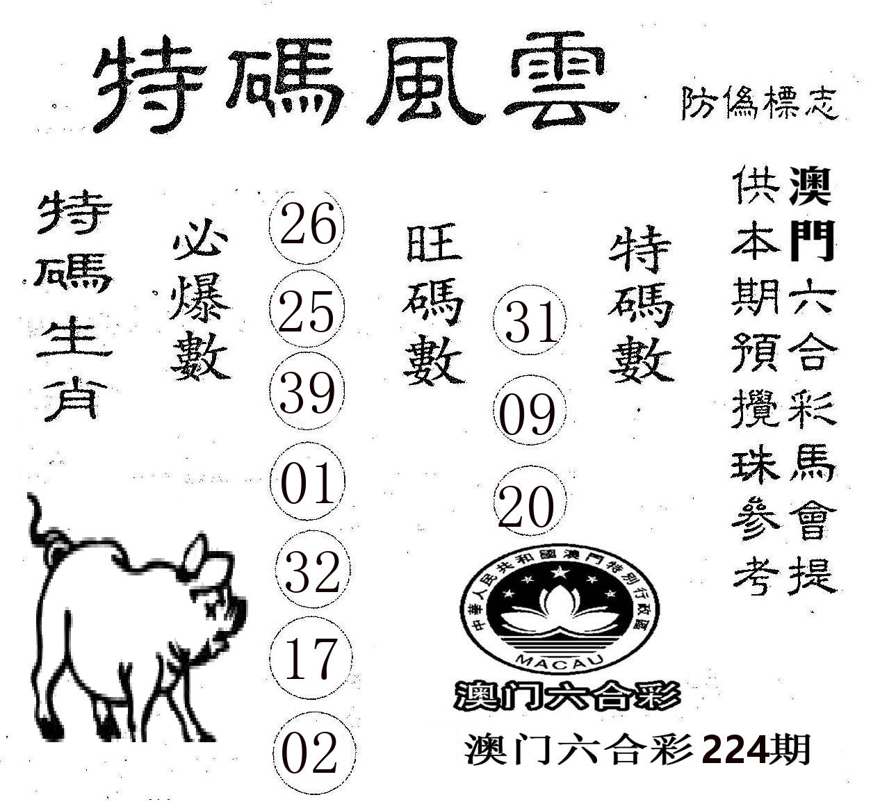 特码风云 第224期