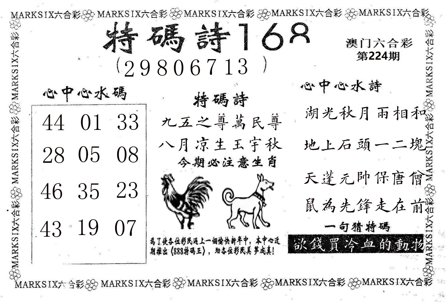 特码诗168 第224期