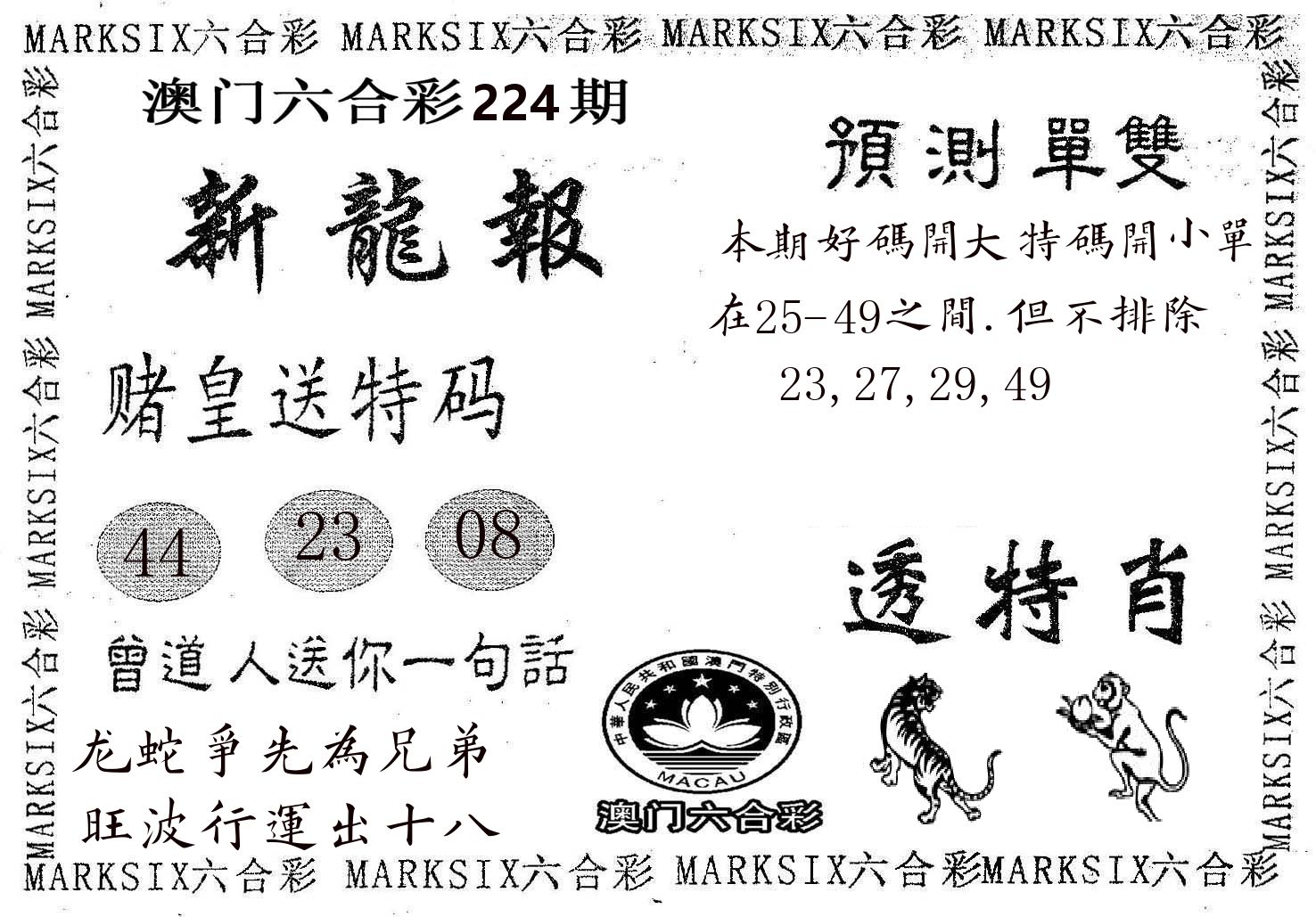 新龙报 第224期