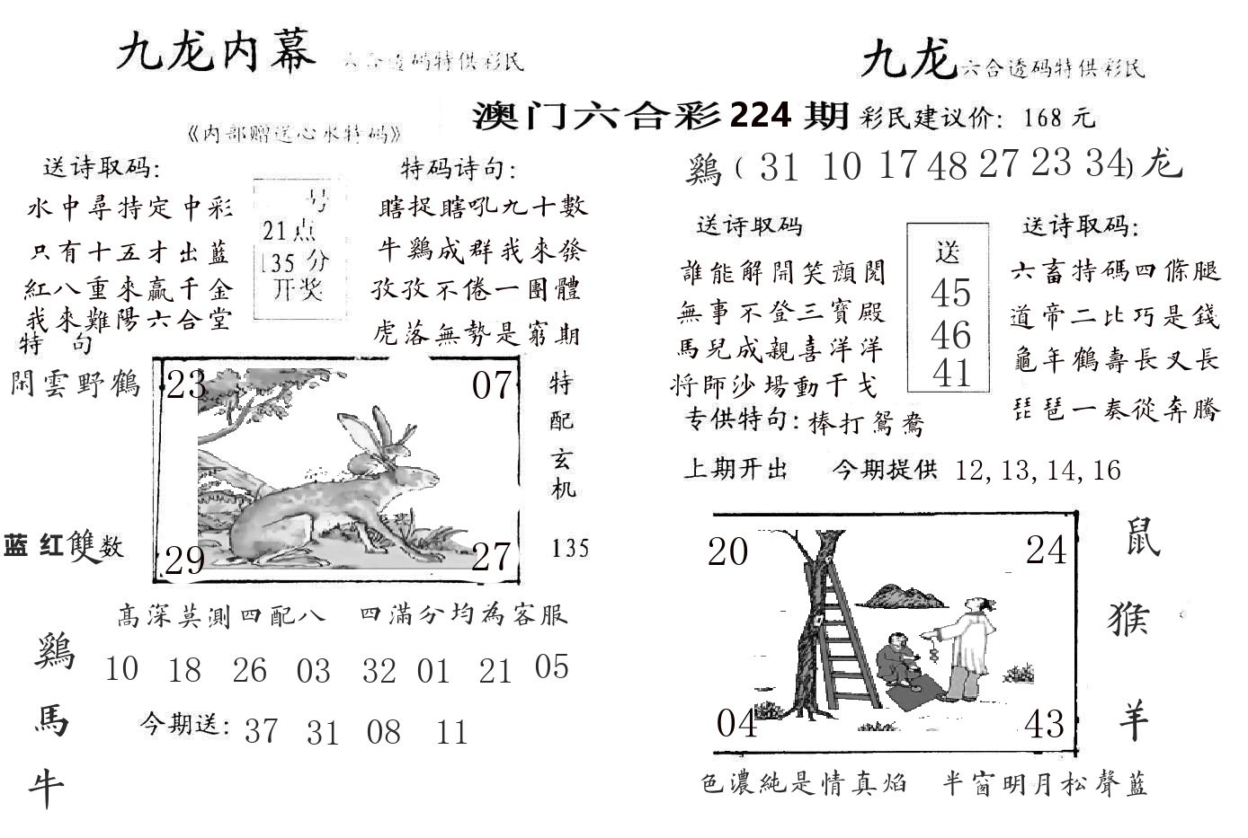 九龙内幕 第224期