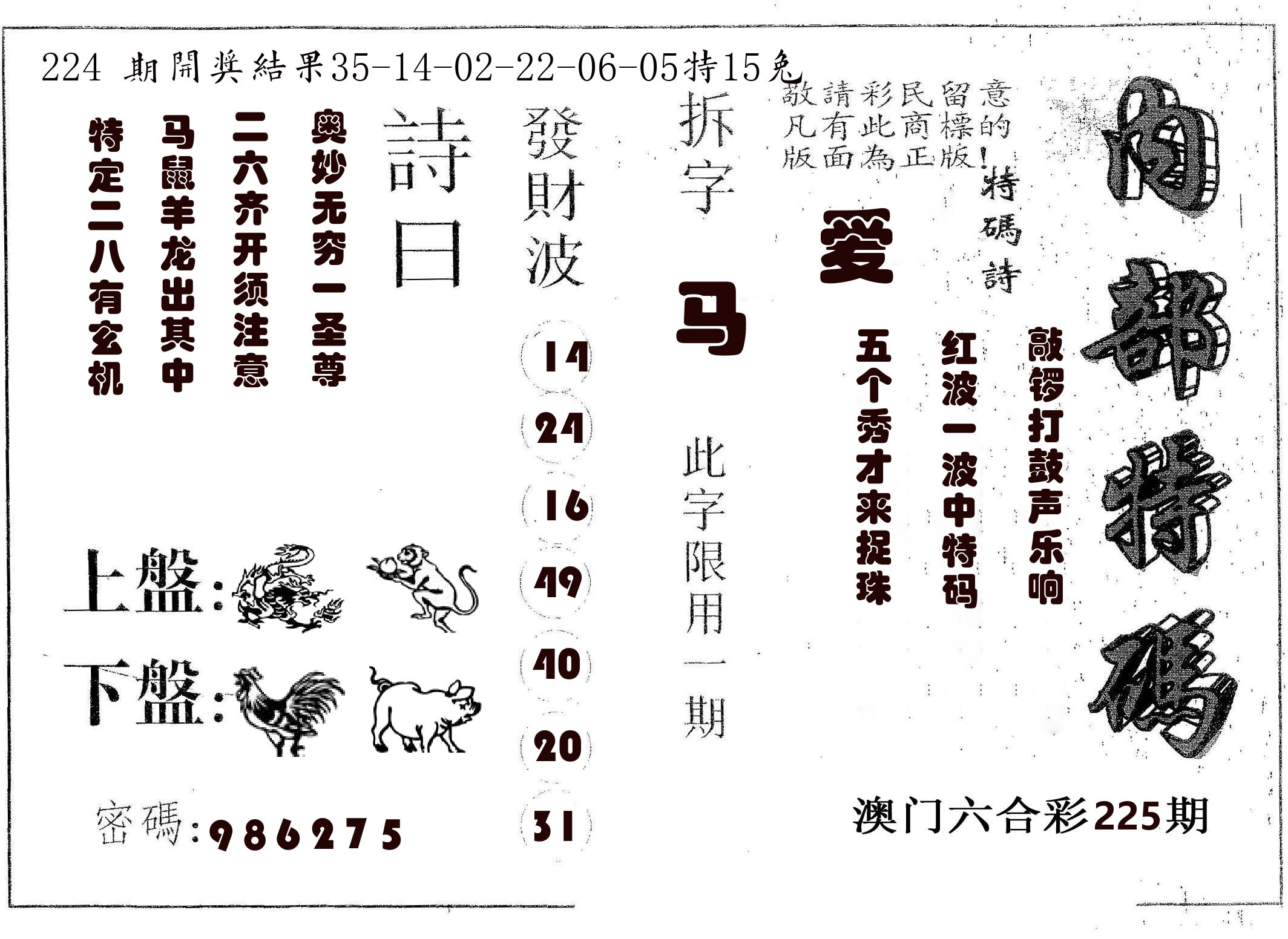内部特码 第225期
