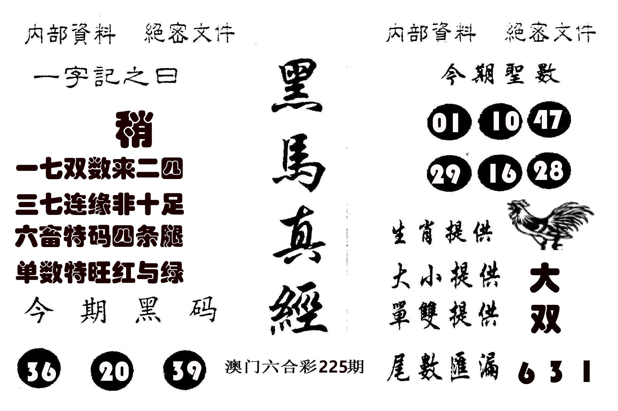 黑马真经 第225期